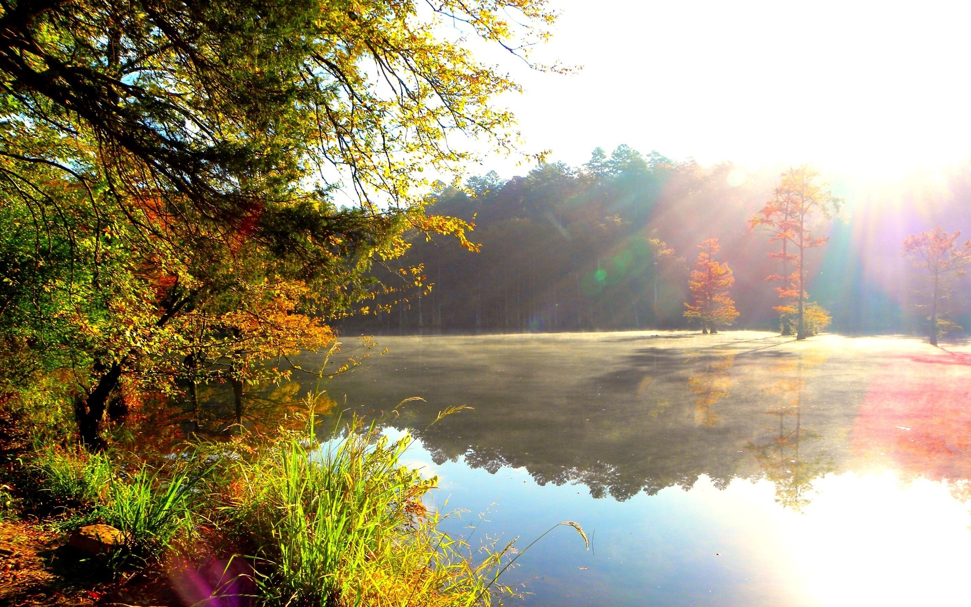 PCデスクトップに風景, 木, 秋, 湖, 反射, 霧, 地球, 池, シーズン画像を無料でダウンロード