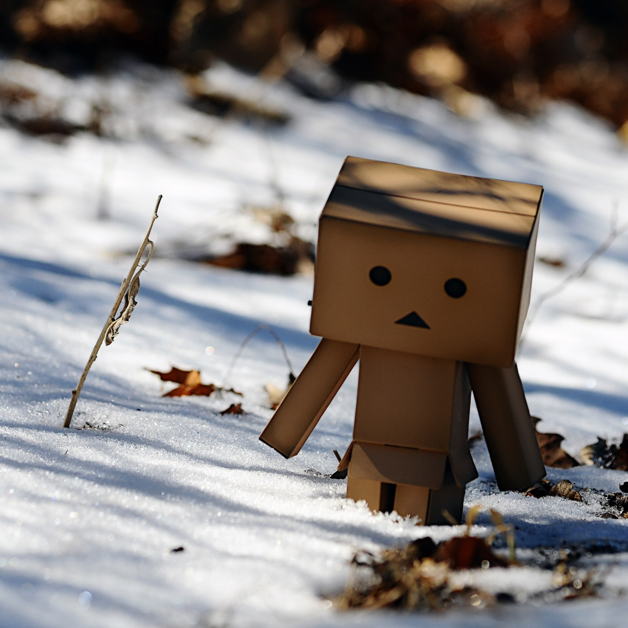 Laden Sie das Verschiedenes, Danbo-Bild kostenlos auf Ihren PC-Desktop herunter