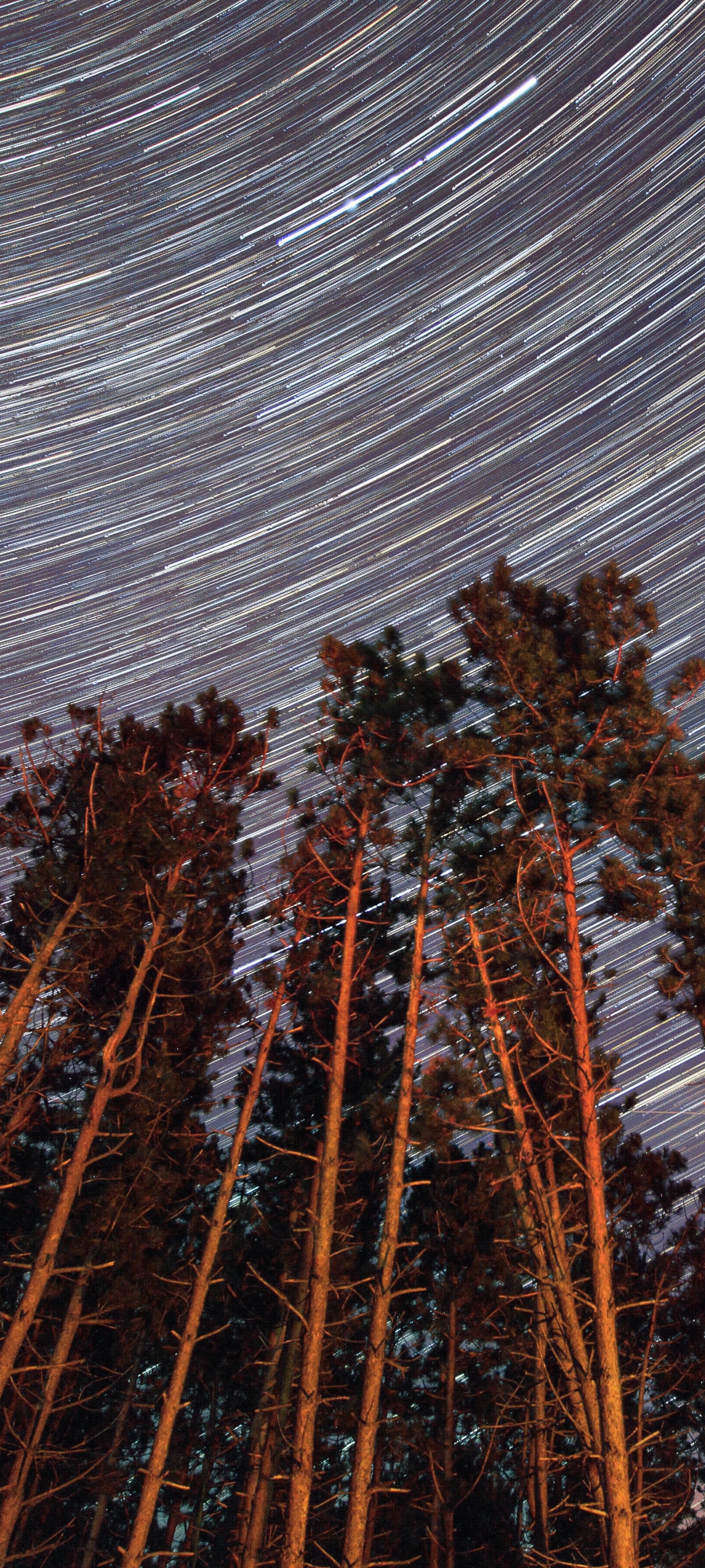 Téléchargez des papiers peints mobile Nuit, Ciel, Sentier Des Étoiles, Terre/nature gratuitement.