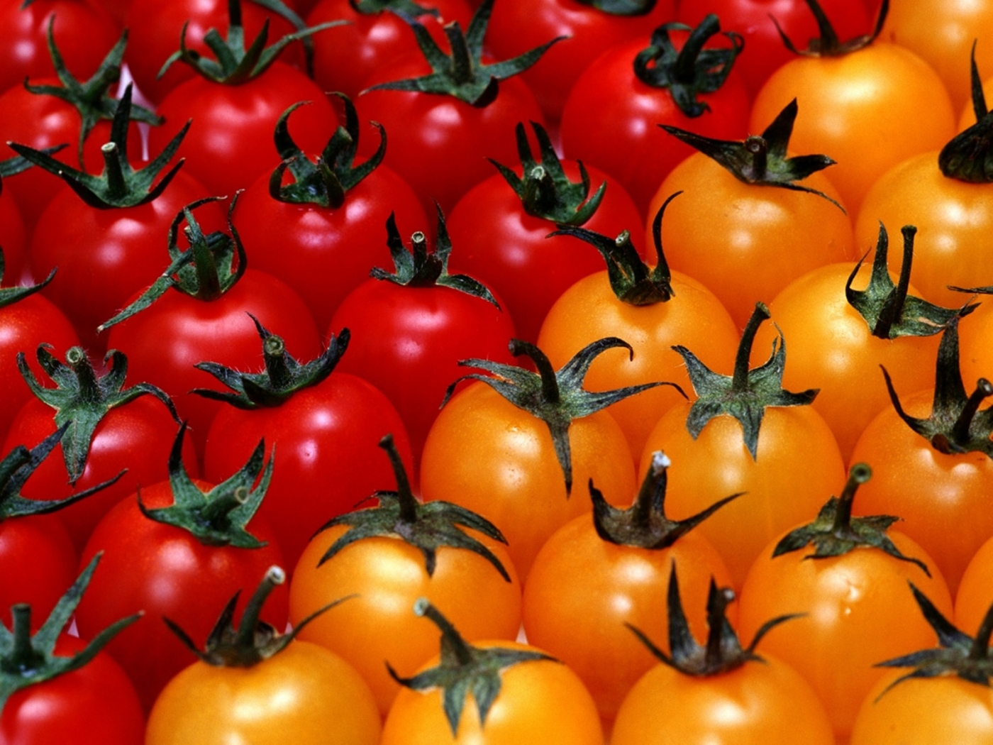 Descarga gratis la imagen Comida, Verduras en el escritorio de tu PC