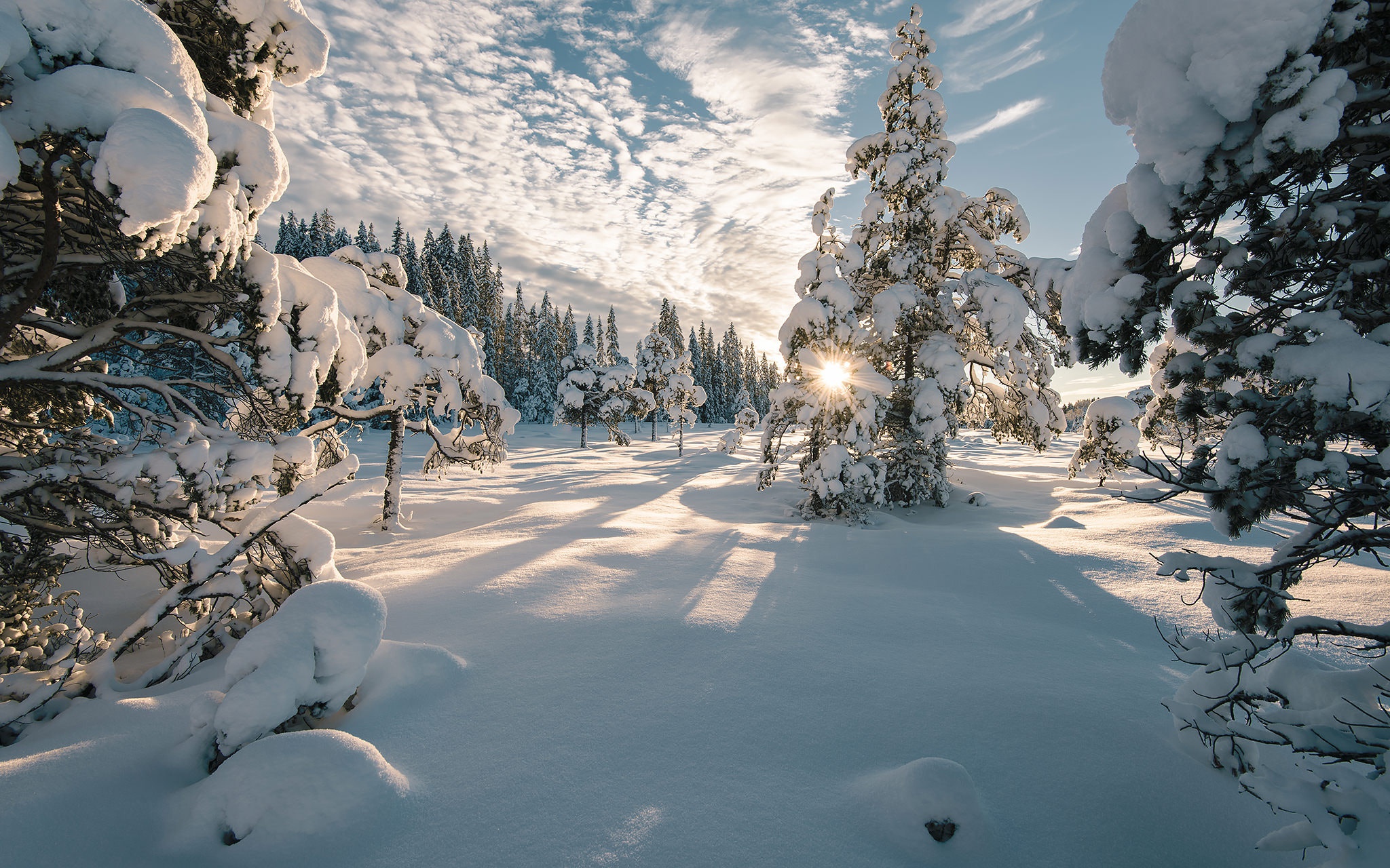 Free download wallpaper Winter, Nature, Snow, Tree, Earth on your PC desktop