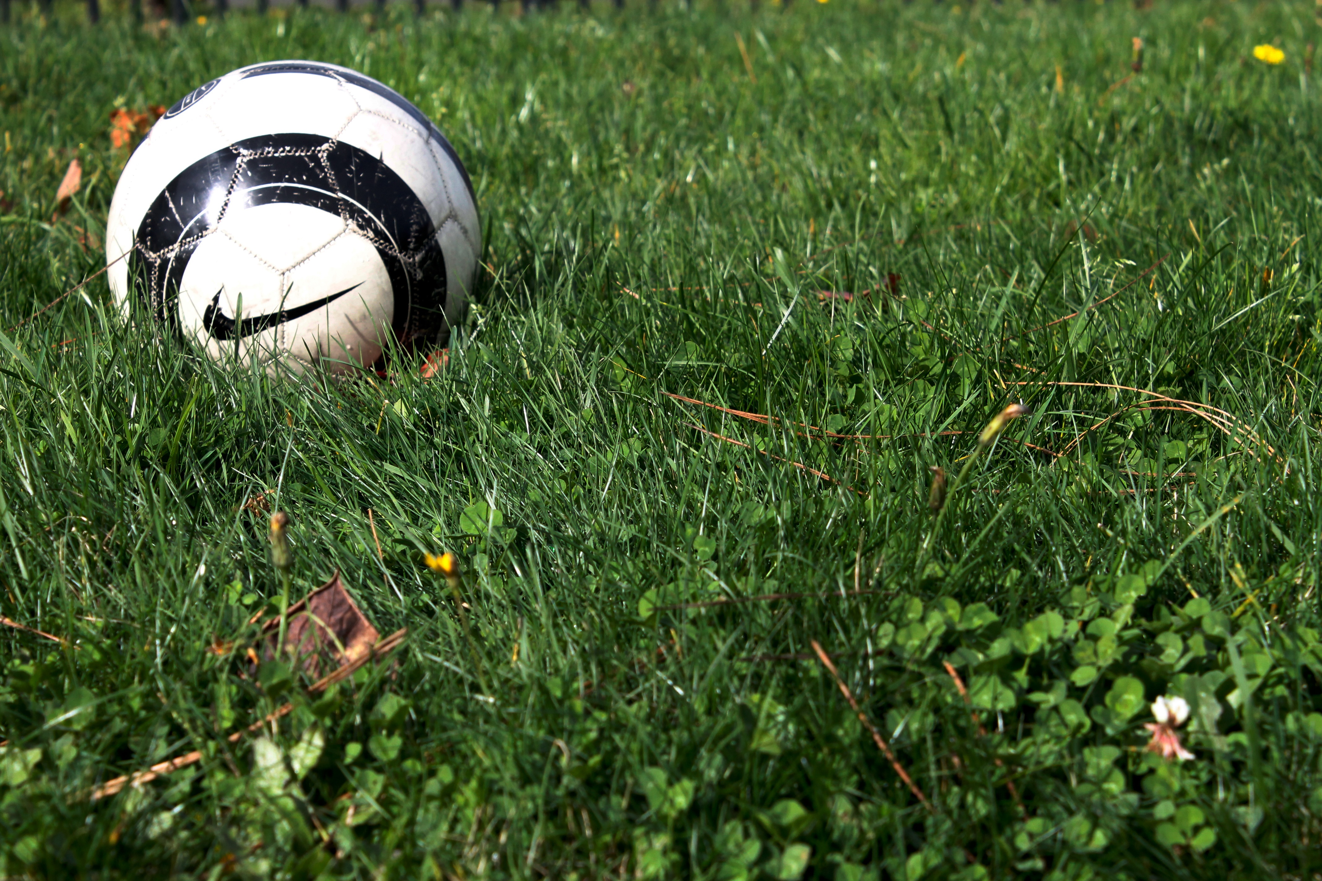 71070 скачать картинку футбольный мяч, найк (nike), спорт, трава - обои и заставки бесплатно