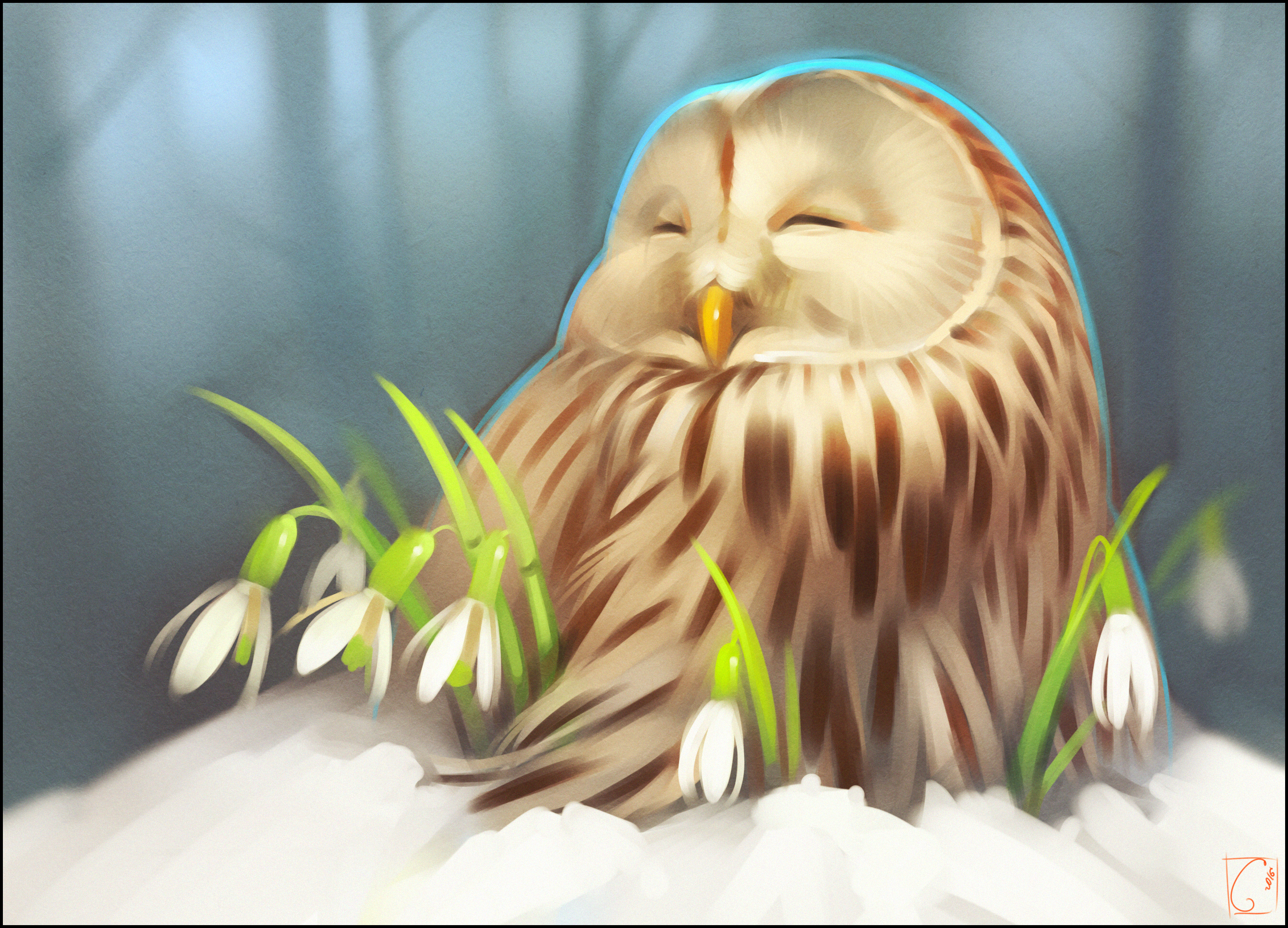 Download mobile wallpaper Birds, Owl, Bird, Animal, Snowdrop, White Flower for free.