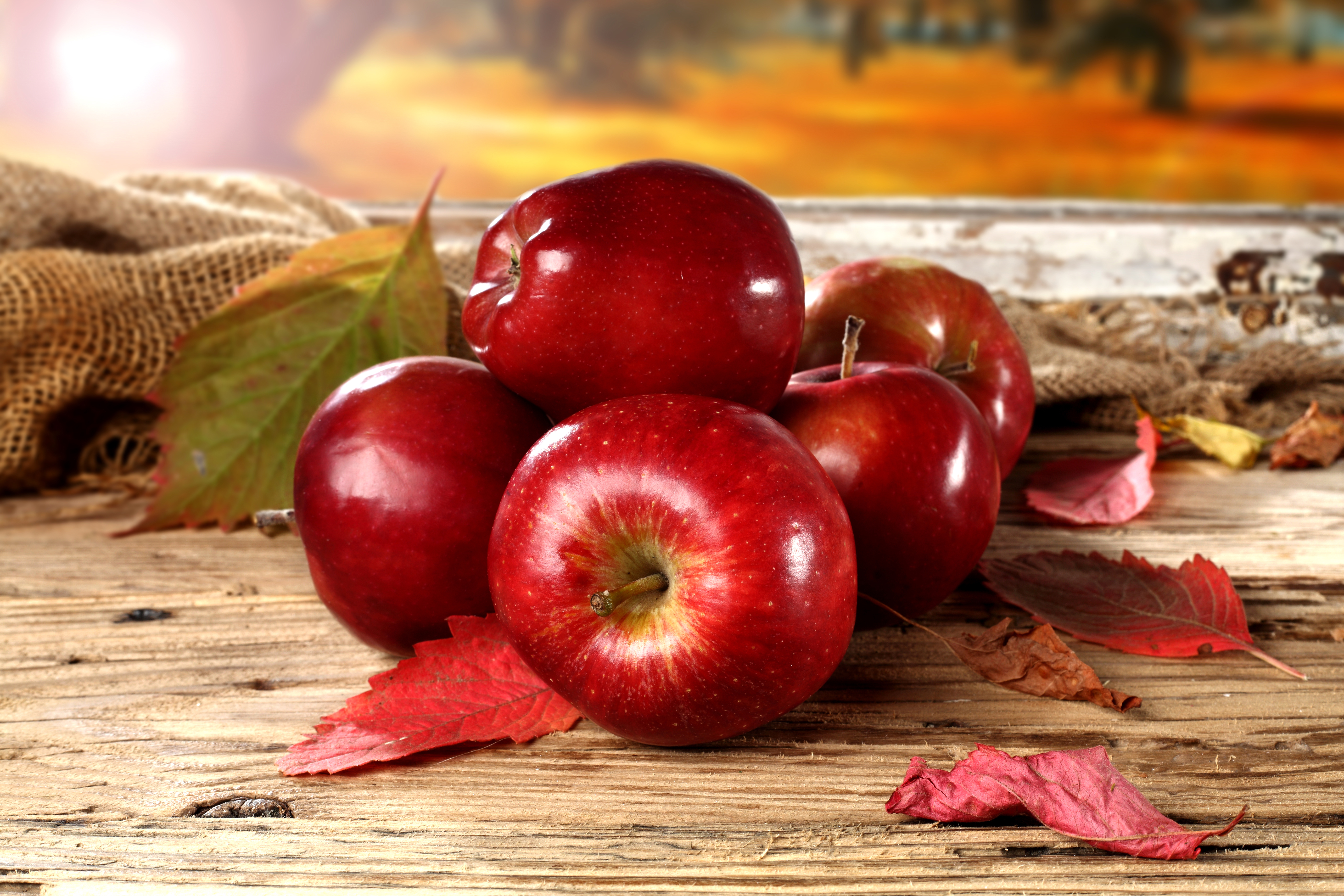 Download mobile wallpaper Fruits, Food, Apple, Fall for free.