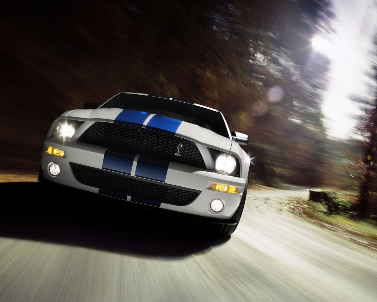 Handy-Wallpaper Ford Mustang, Fahrzeuge kostenlos herunterladen.