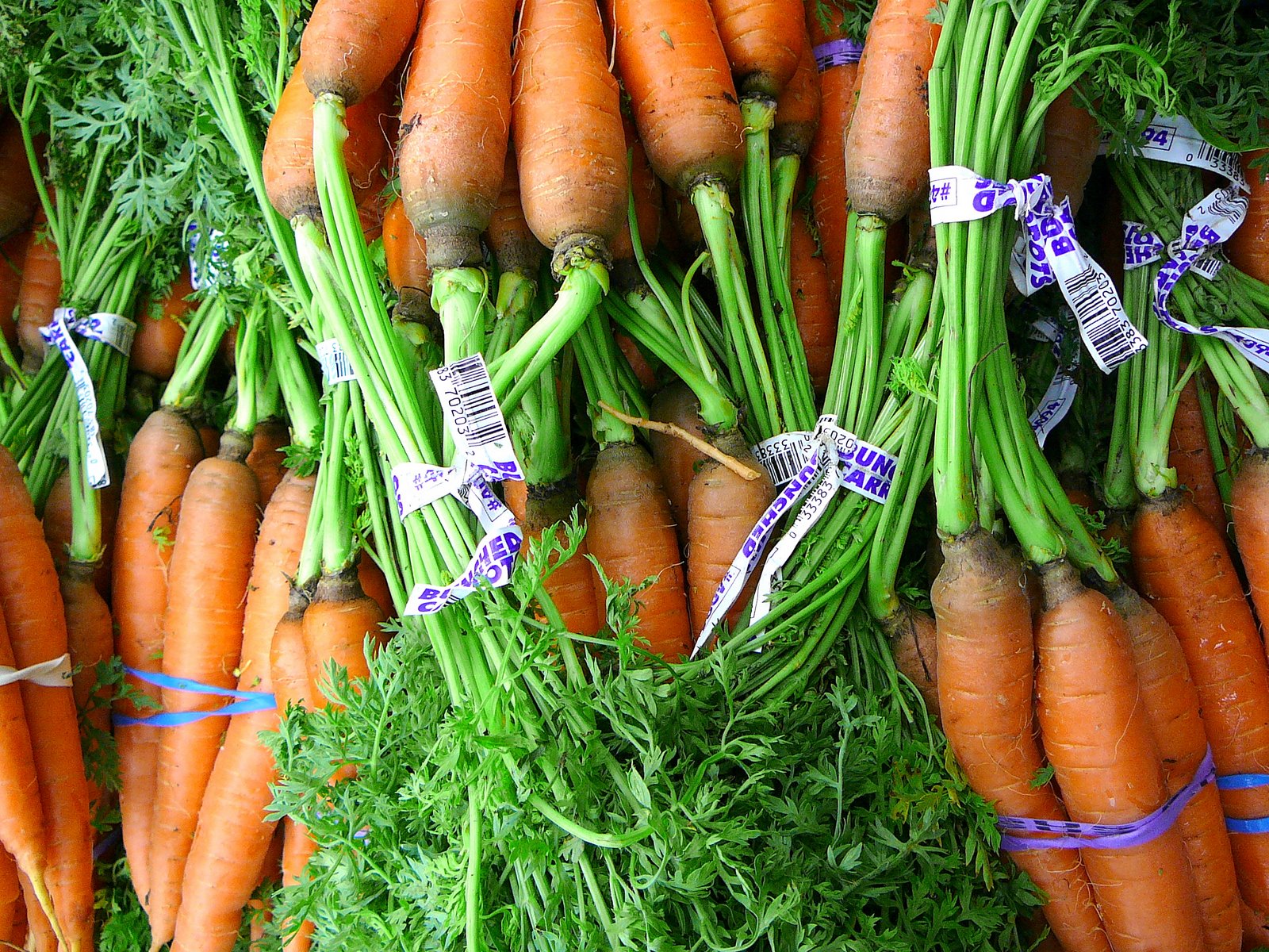 Скачать обои бесплатно Еда, Морковь картинка на рабочий стол ПК