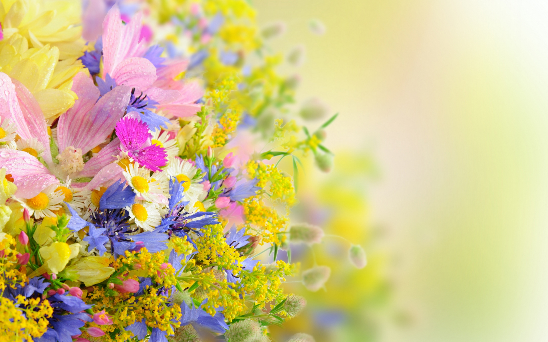 272375 descargar fondo de pantalla flores, artístico, flor, pastel: protectores de pantalla e imágenes gratis