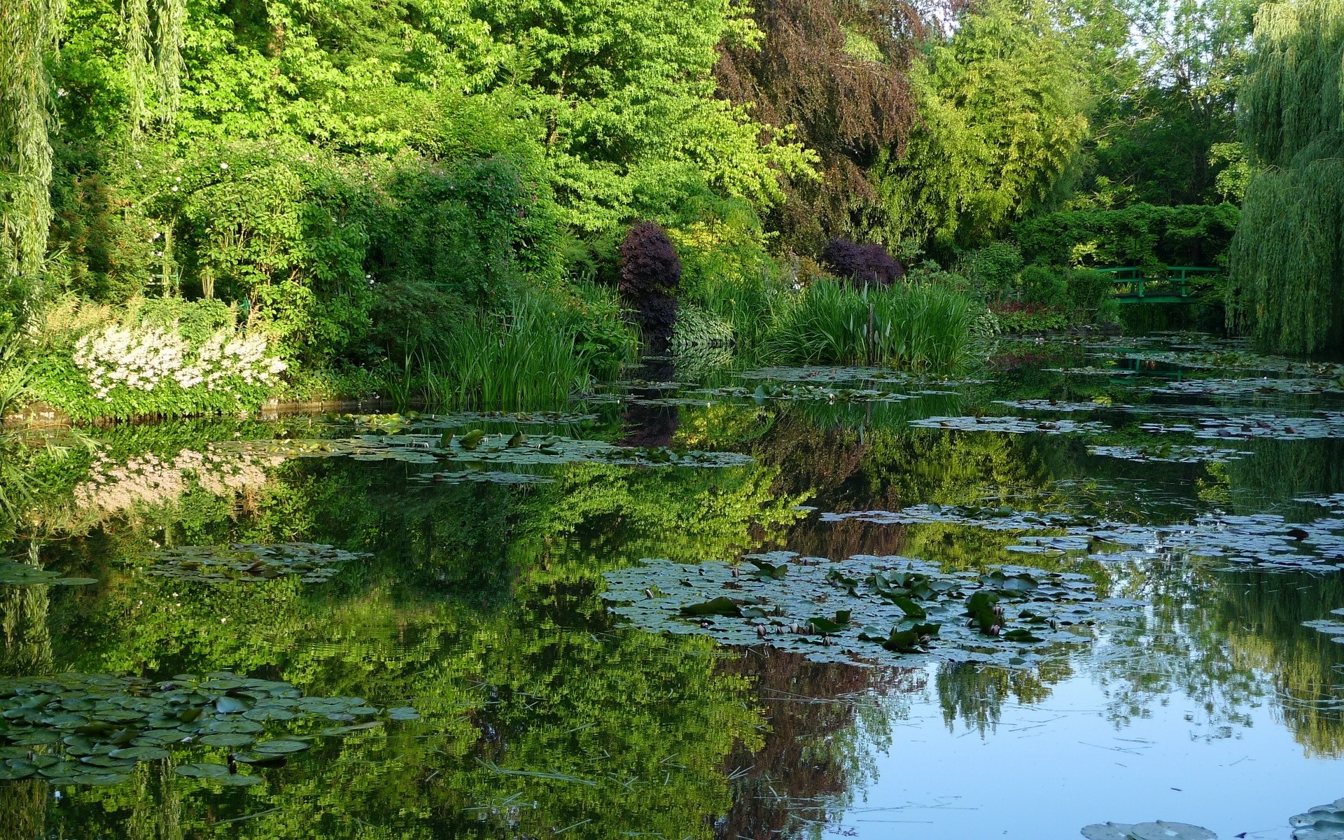 PCデスクトップに公園, 写真撮影画像を無料でダウンロード