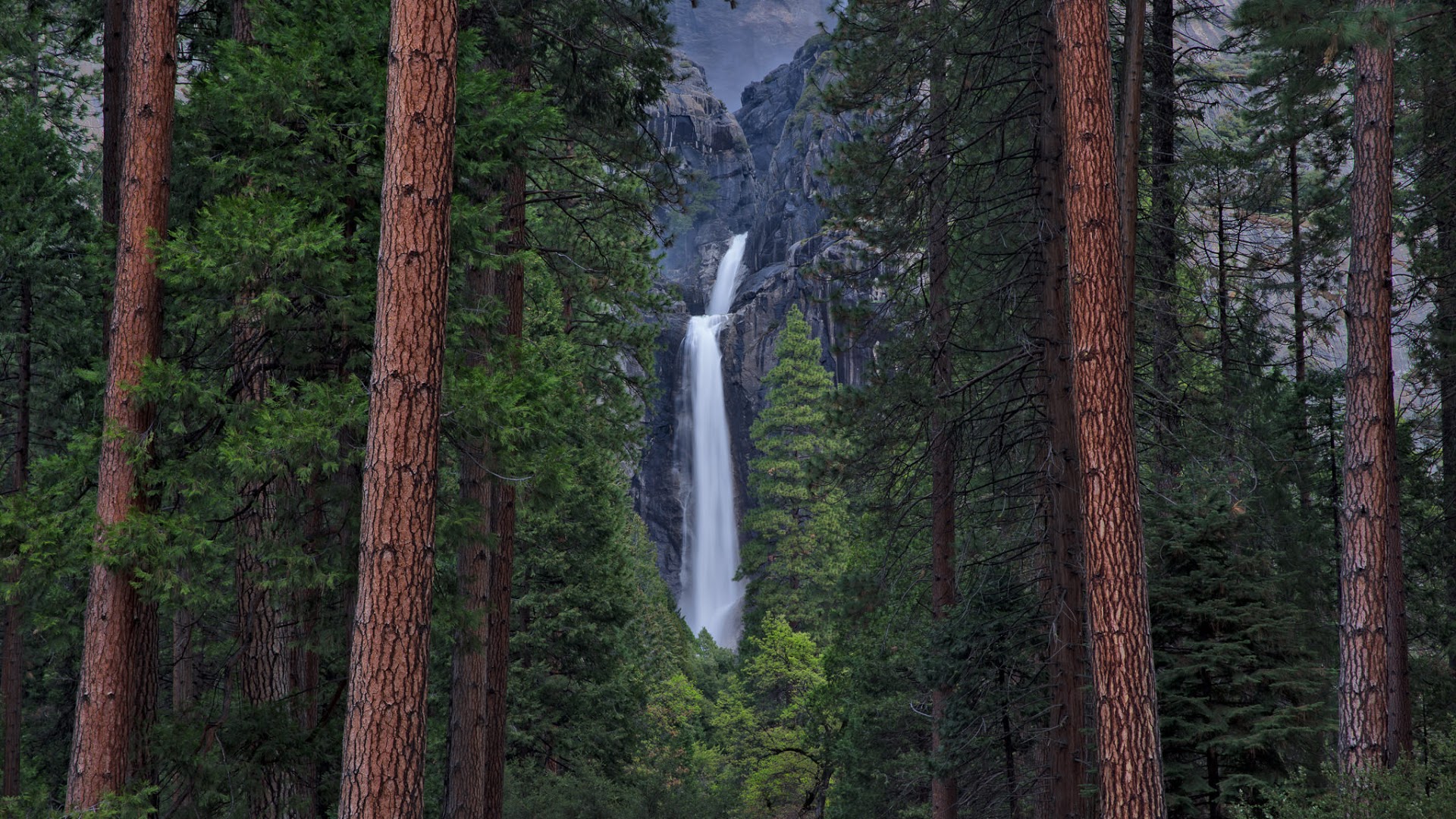 Download mobile wallpaper Waterfalls, Waterfall, Forest, Tree, Earth, Yosemite National Park for free.