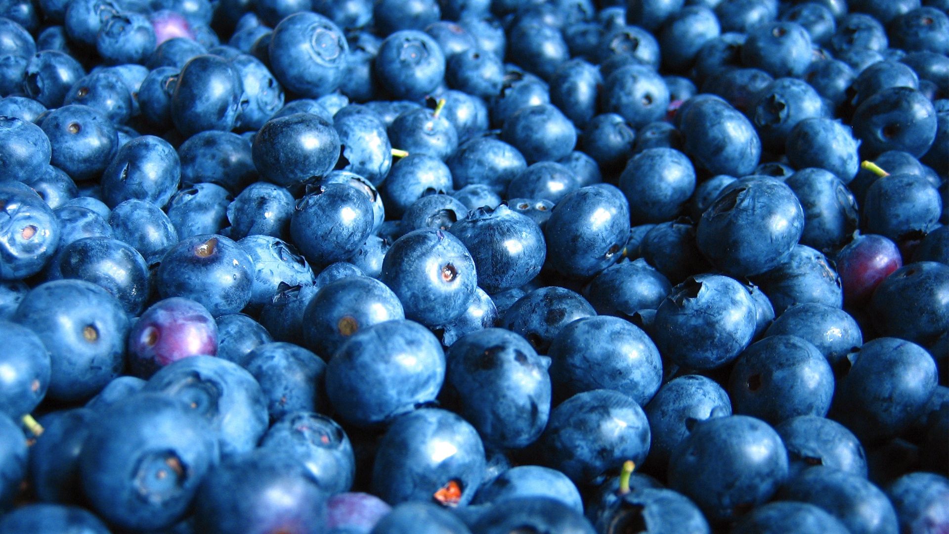 Download mobile wallpaper Lot, Bilberries, Berry, Food for free.