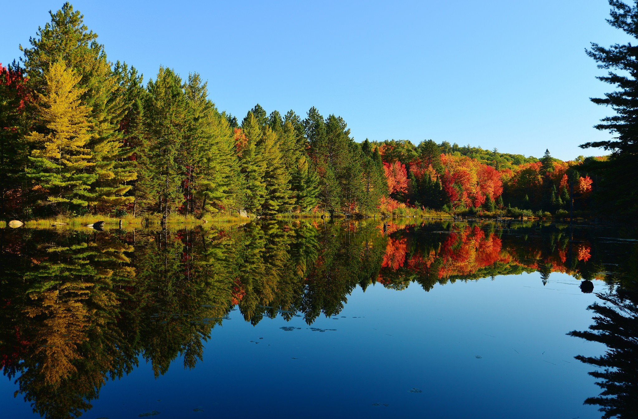 Download mobile wallpaper Lake, Reflection, Forest, Fall, Earth for free.