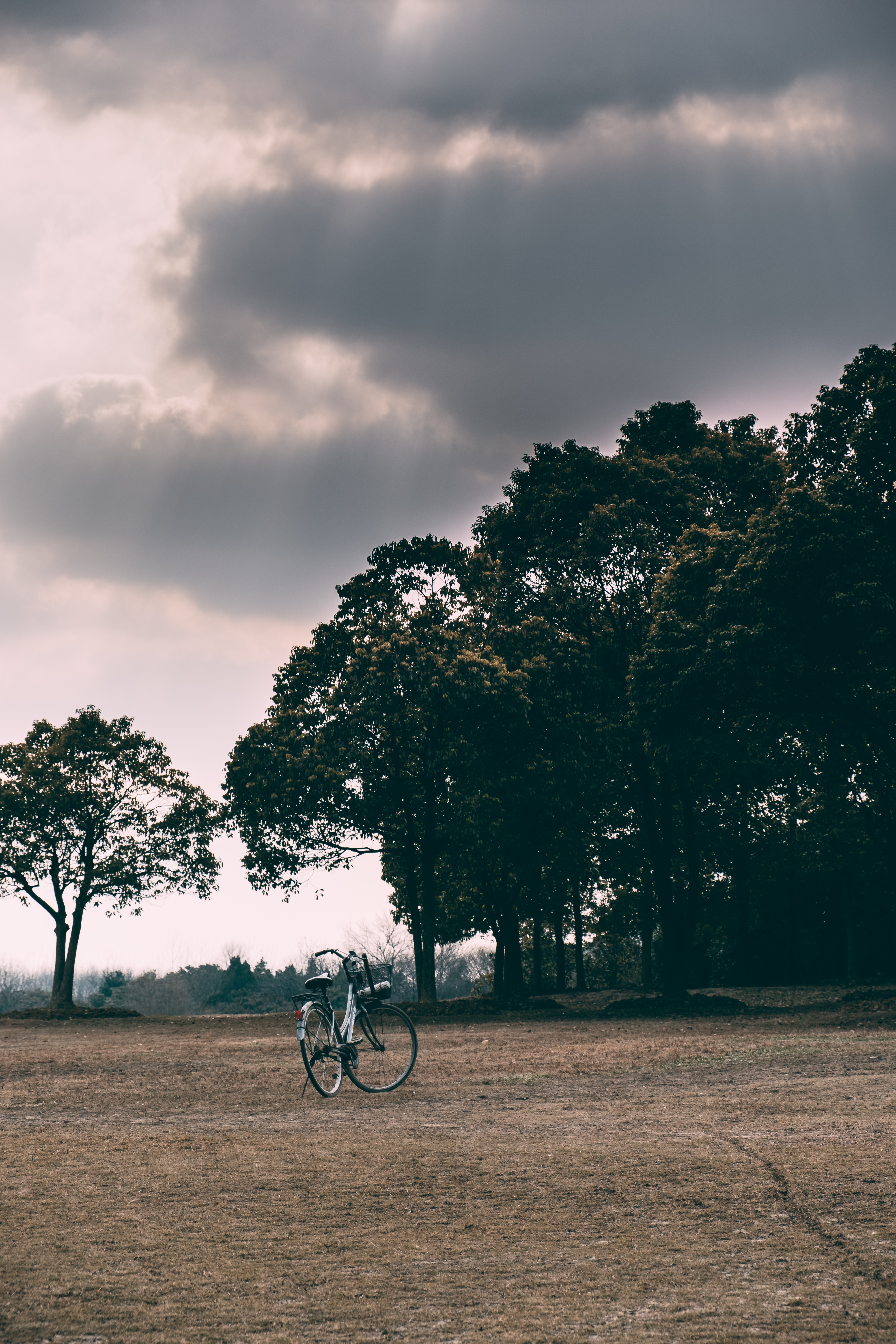 Free download wallpaper Nature, Trees, Grass, Clouds, Mainly Cloudy, Overcast, Glade, Polyana, Bicycle on your PC desktop