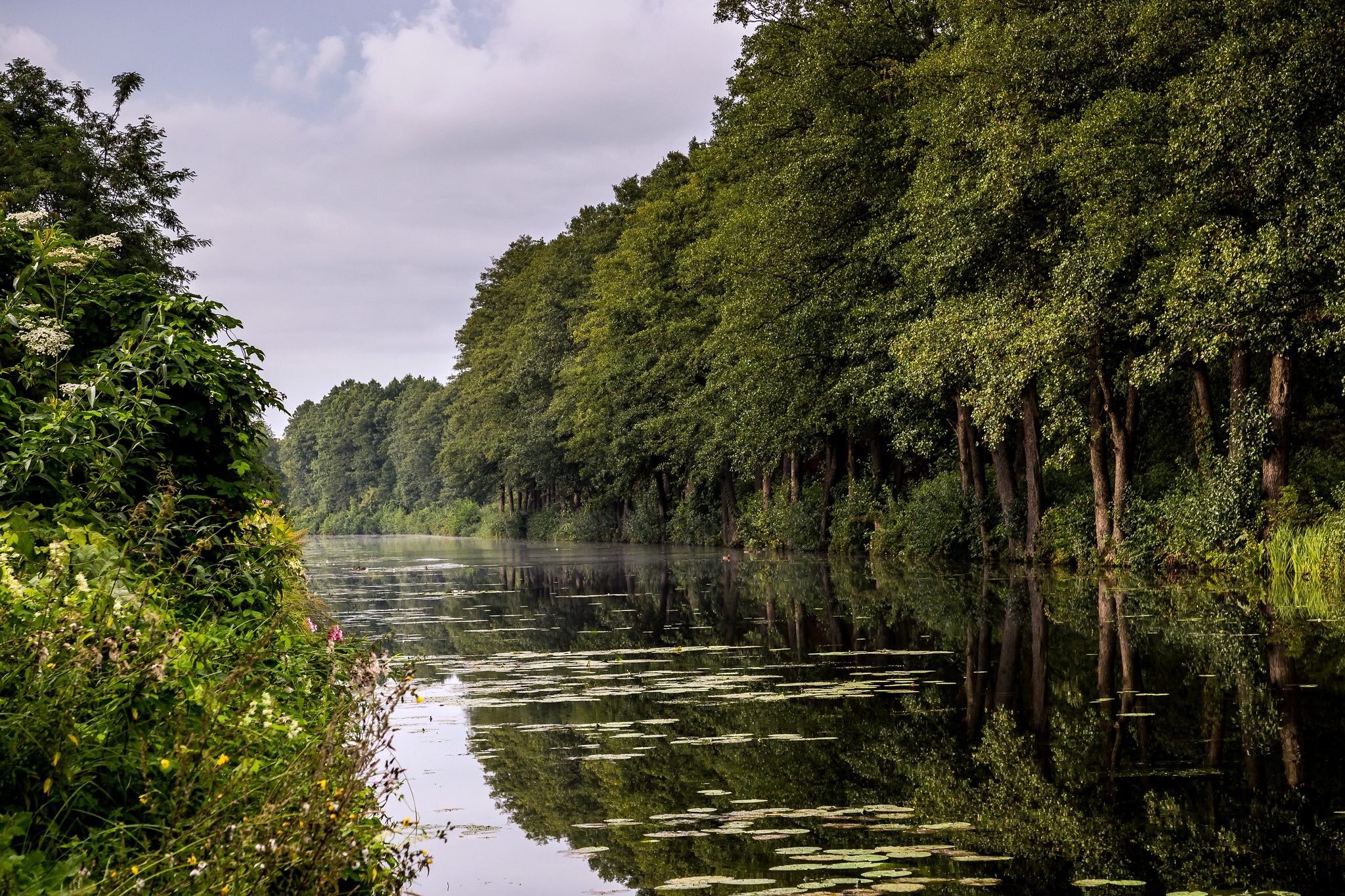 Download mobile wallpaper Nature, Reflection, Earth, River for free.