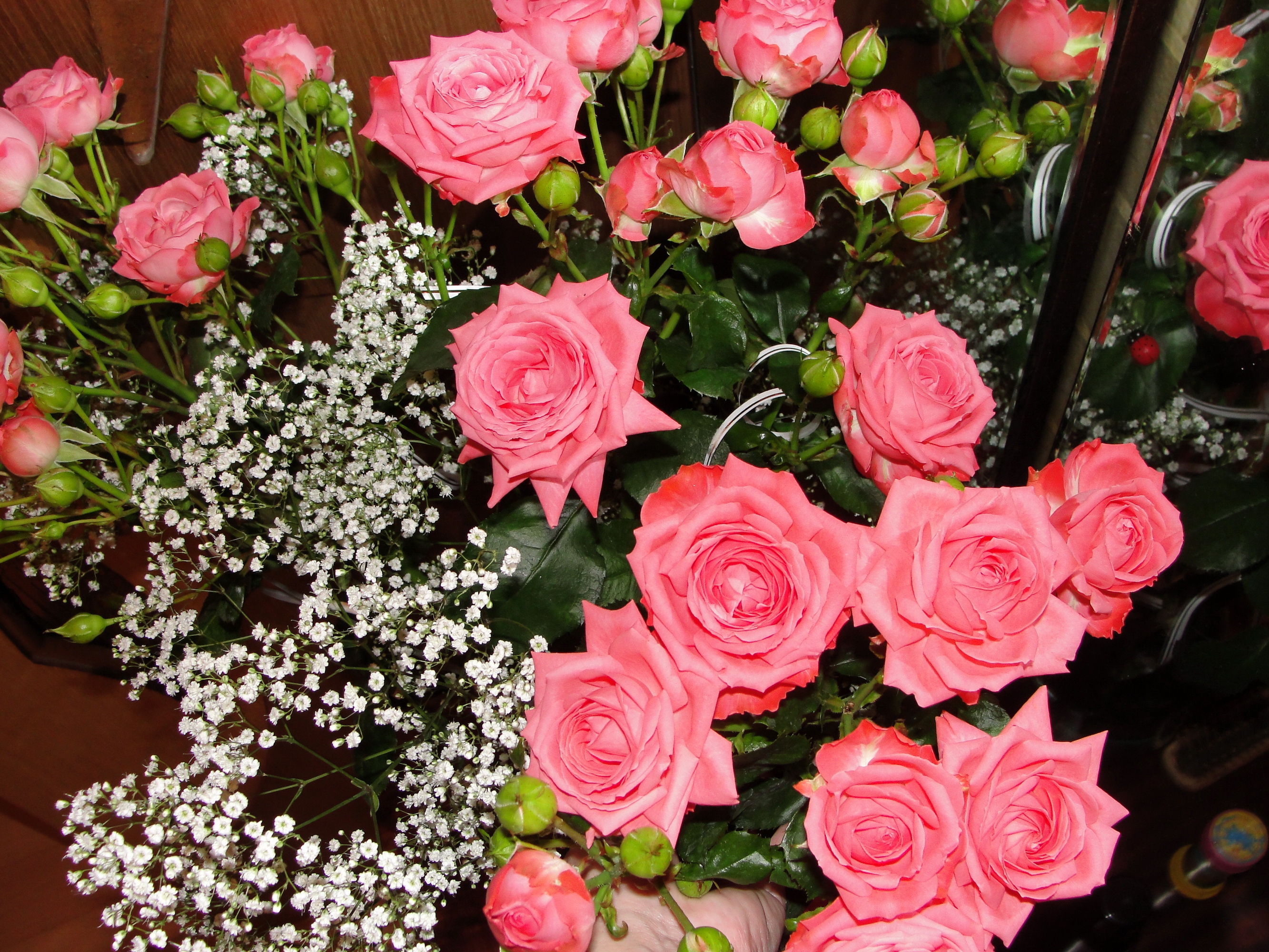 Laden Sie das Strauß, Bouquet, Roses, Reflexion, Knospen, Spiegel, Blumen-Bild kostenlos auf Ihren PC-Desktop herunter
