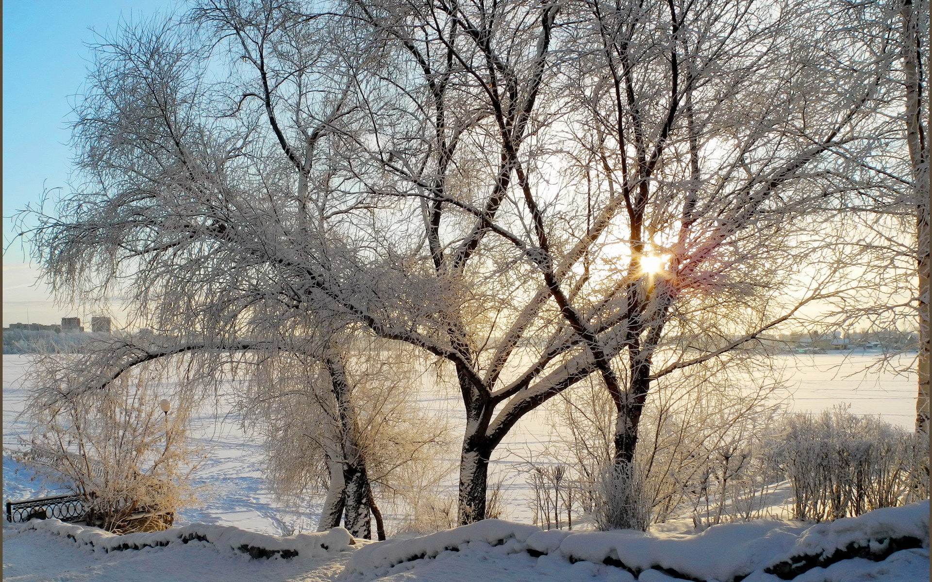 Baixar papel de parede para celular de Inverno, Terra/natureza gratuito.