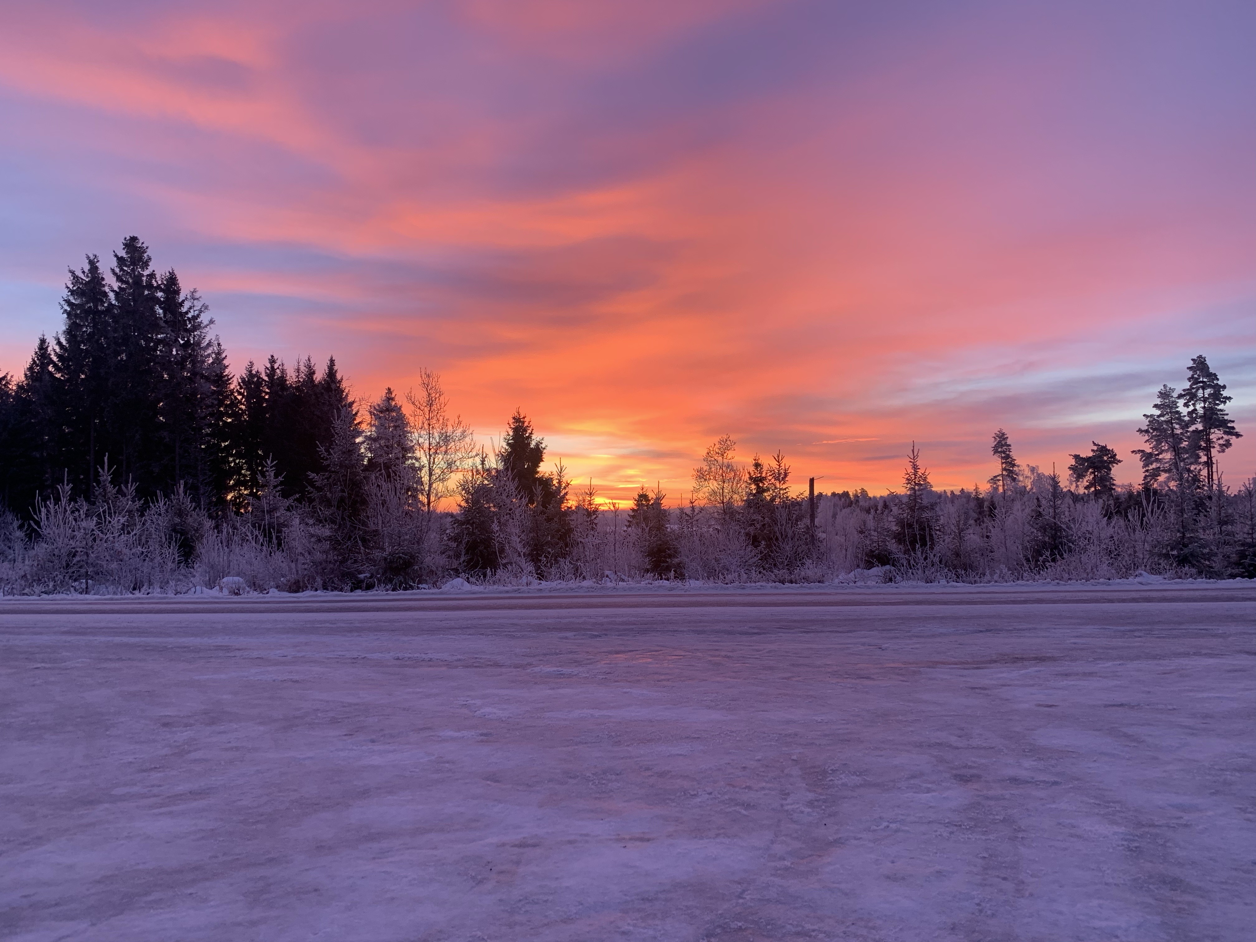 145197 descargar imagen invierno, naturaleza, árboles, cielo, nieve, amanecer, horizonte, subir, cubierto de nieve, nevado: fondos de pantalla y protectores de pantalla gratis