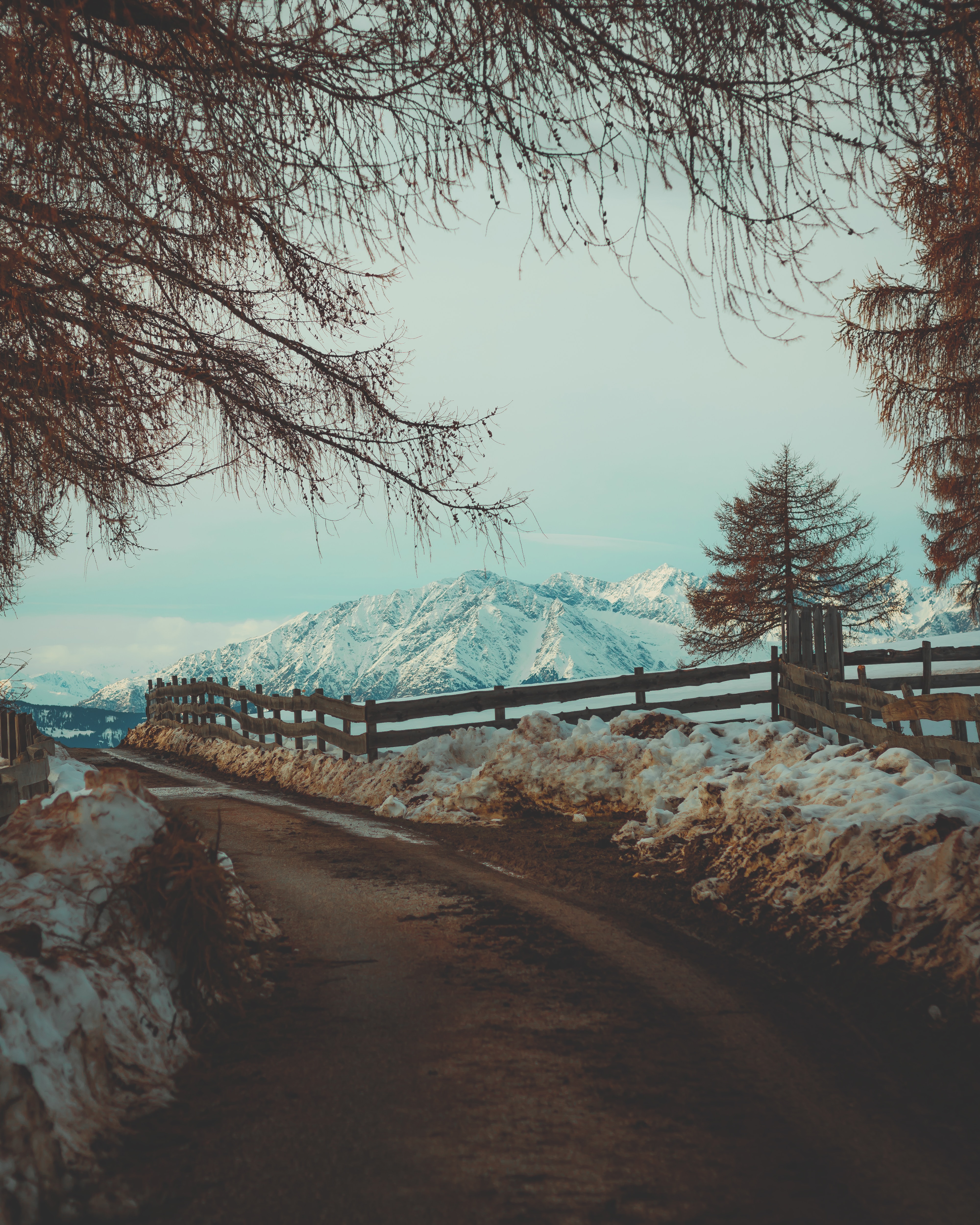 Download mobile wallpaper Snow, Road, Branches, Fence, Mountains, Branch, Nature for free.