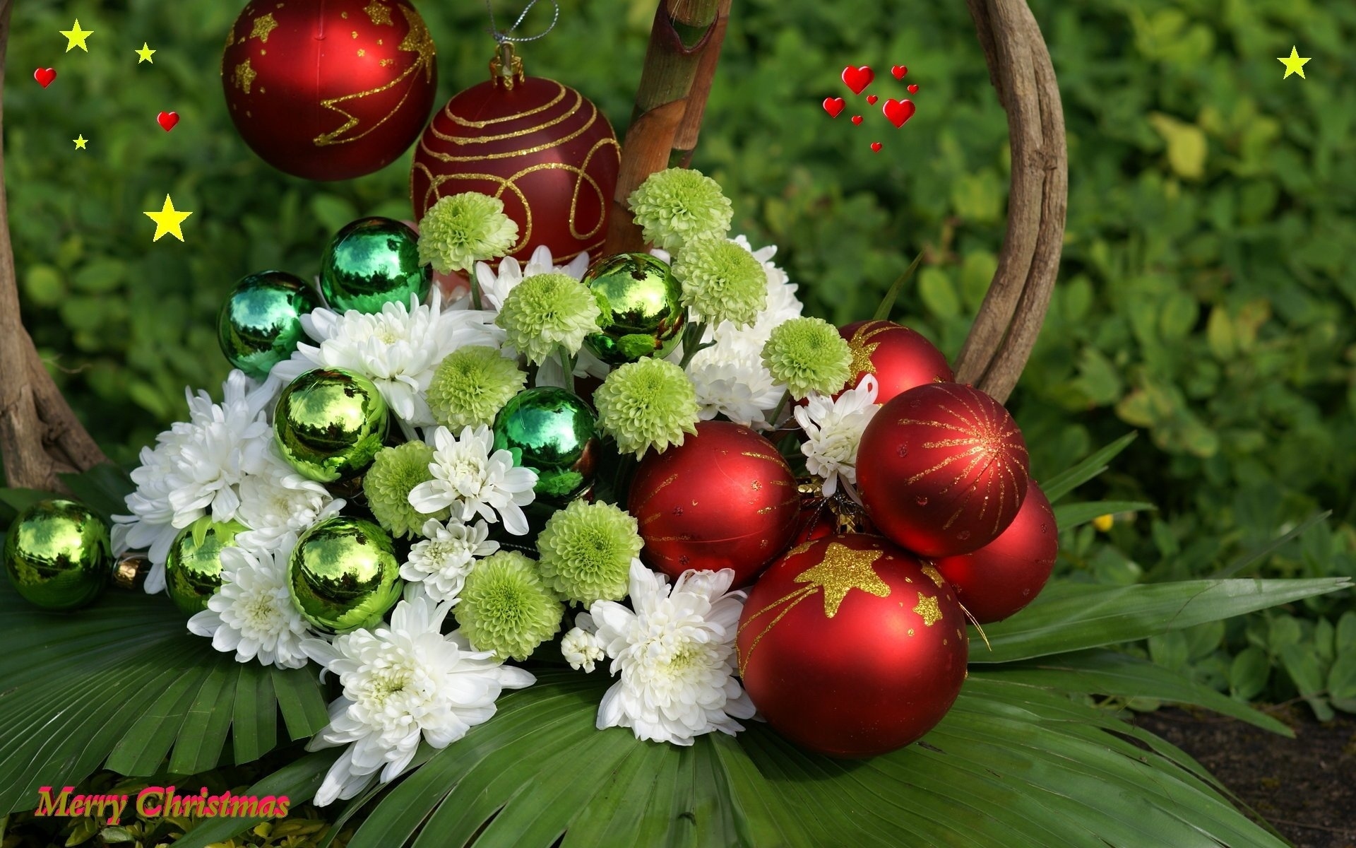 Free download wallpaper Christmas, Holiday, Decoration, White Flower, Merry Christmas on your PC desktop