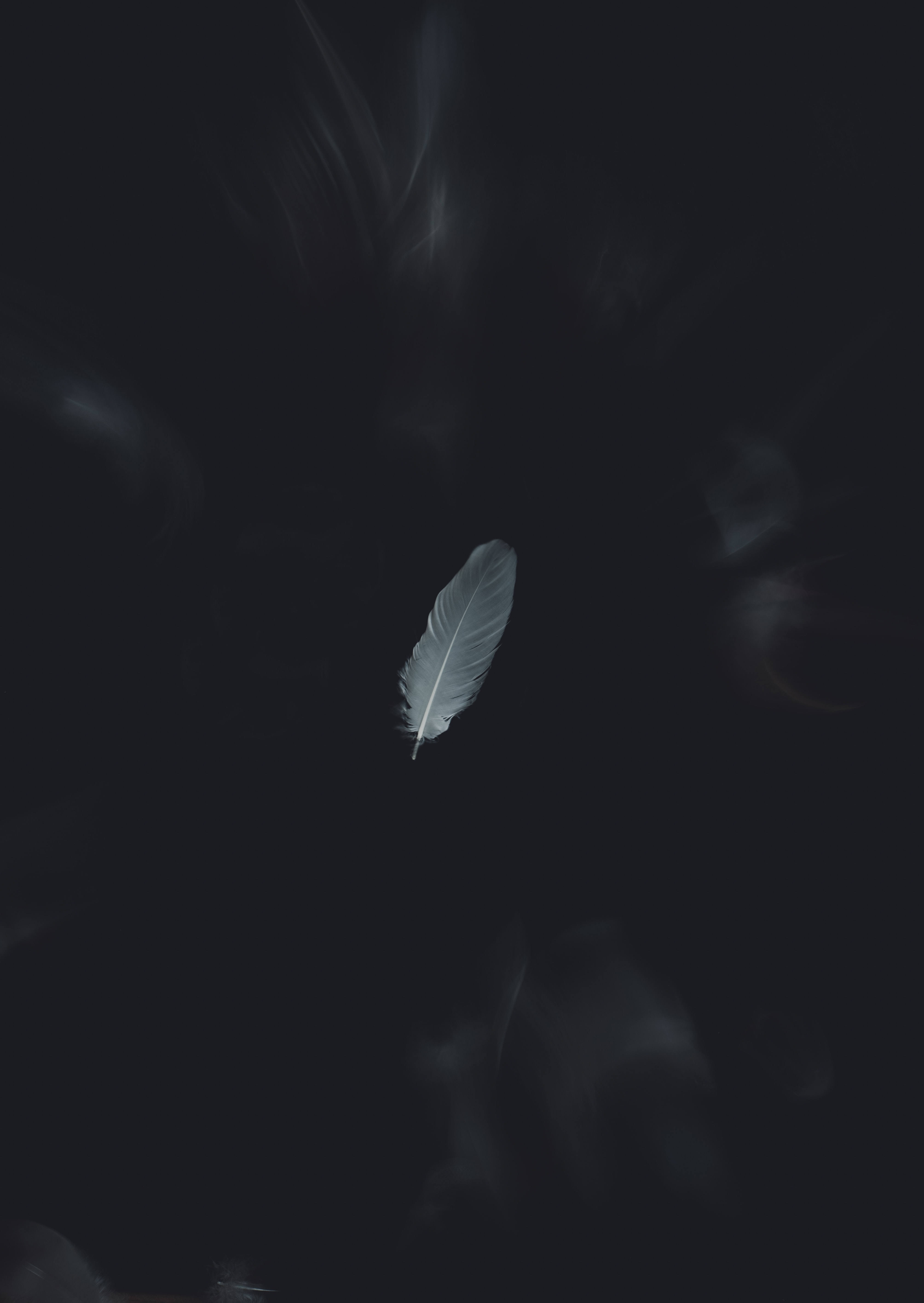 HQ Feather Background