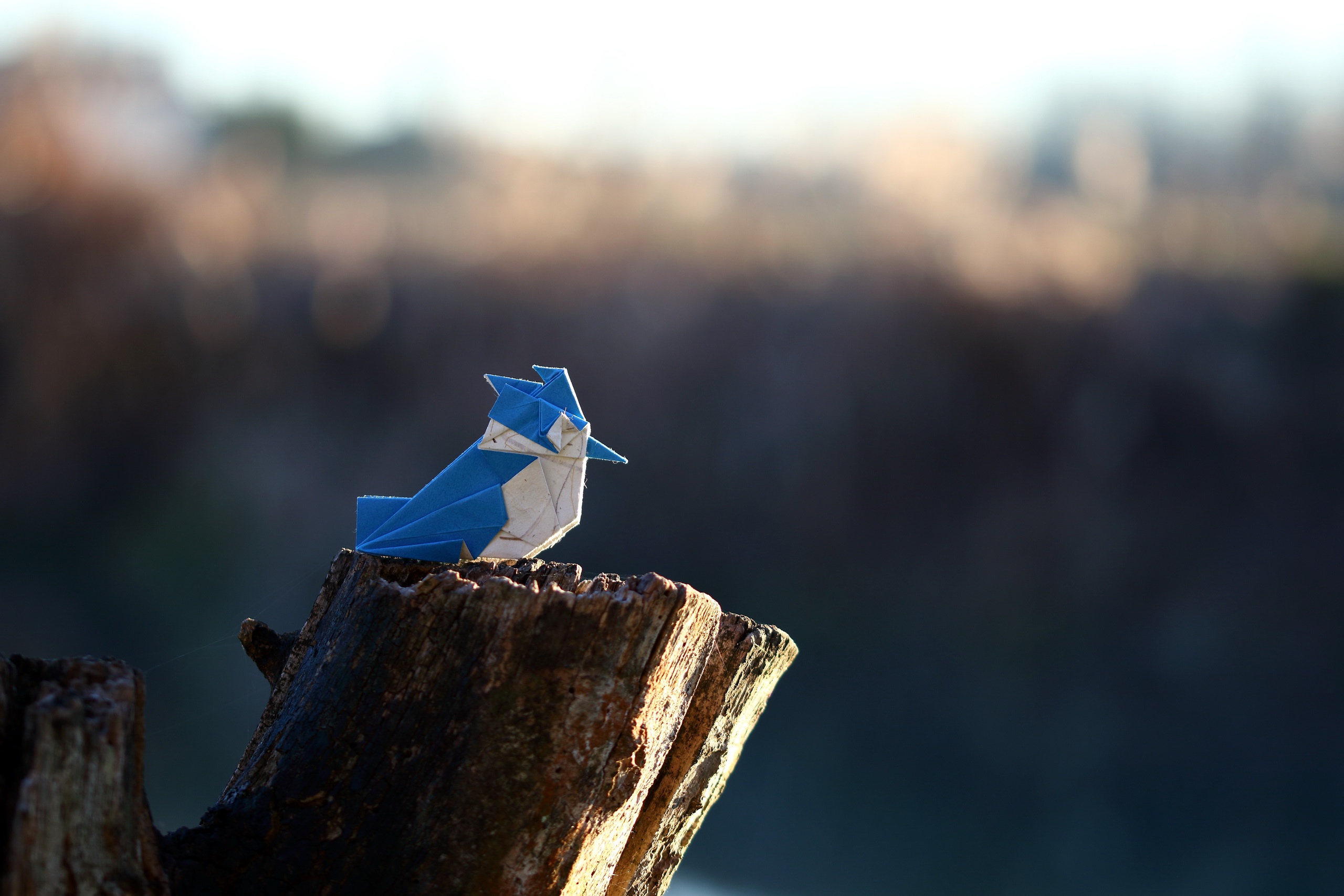 Download mobile wallpaper Bird, Kingfisher, Origami, Man Made for free.