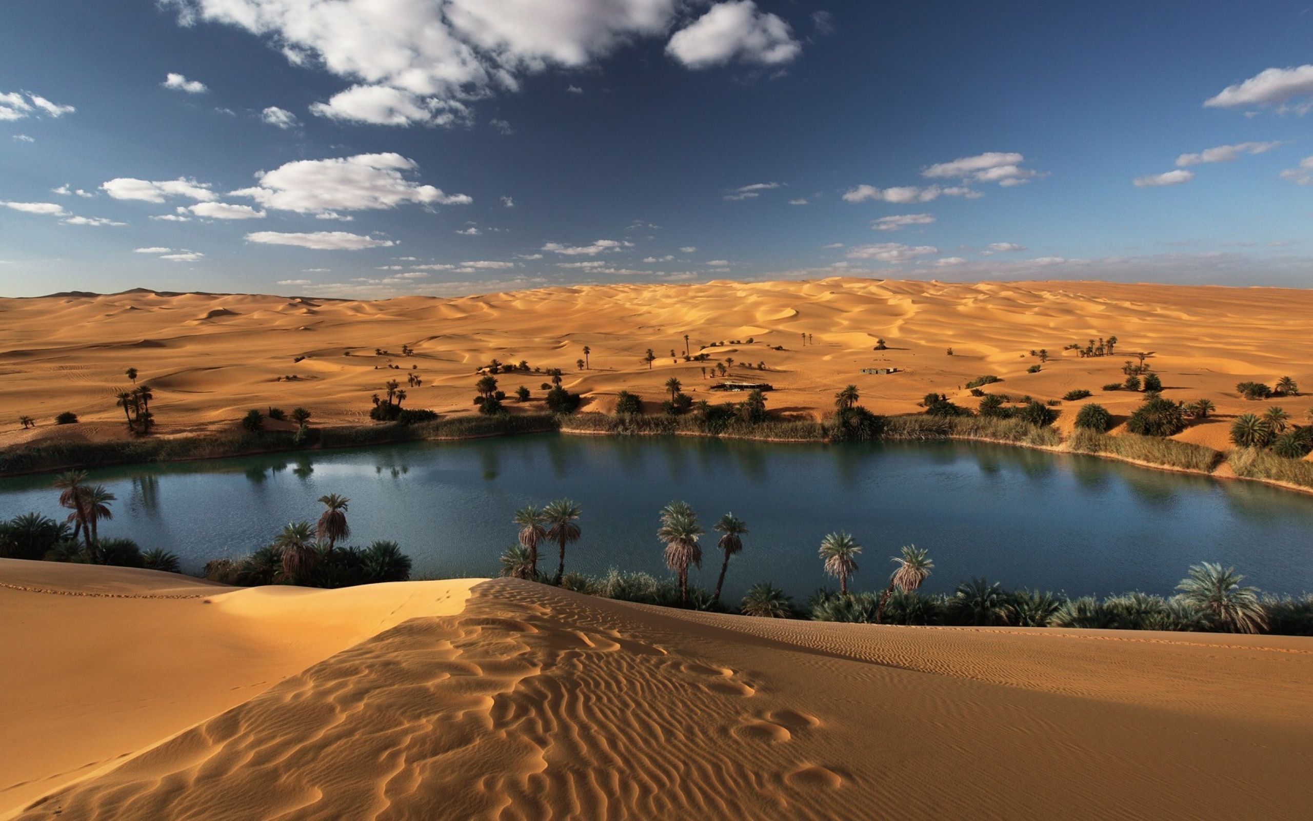Die besten Sahara-Hintergründe für den Telefonbildschirm