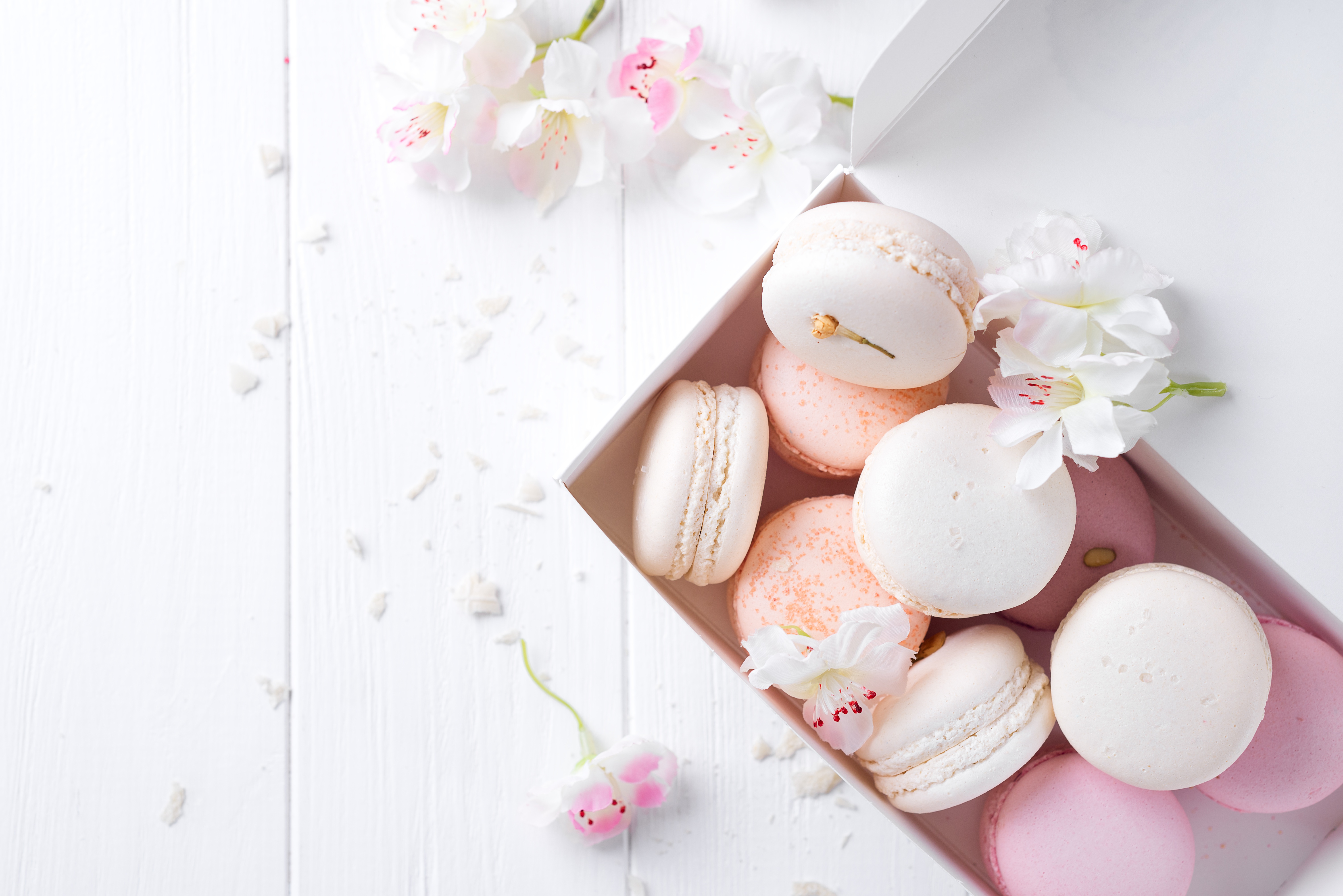 Téléchargez gratuitement l'image Nourriture, Macaron, Nature Morte sur le bureau de votre PC