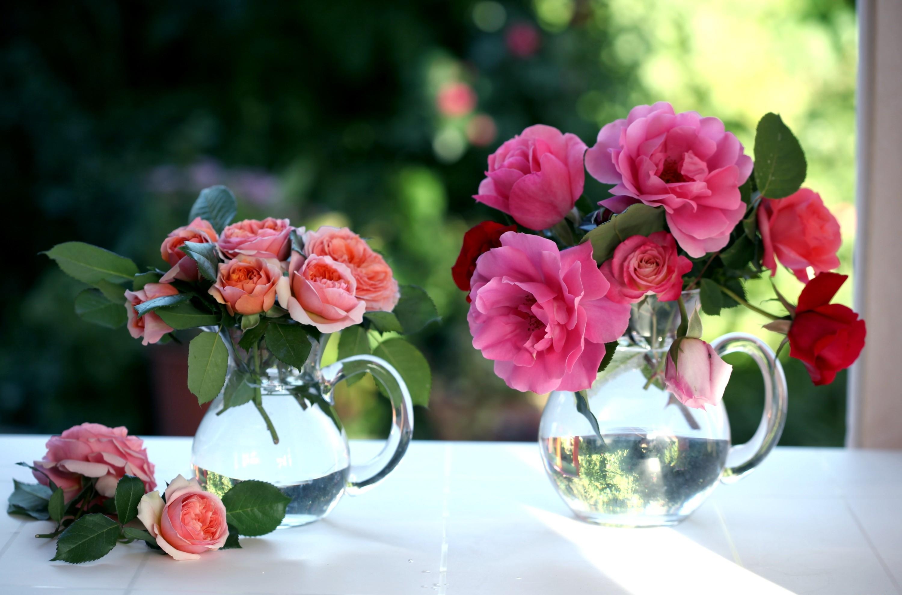jugs, window, roses, flowers, bouquets