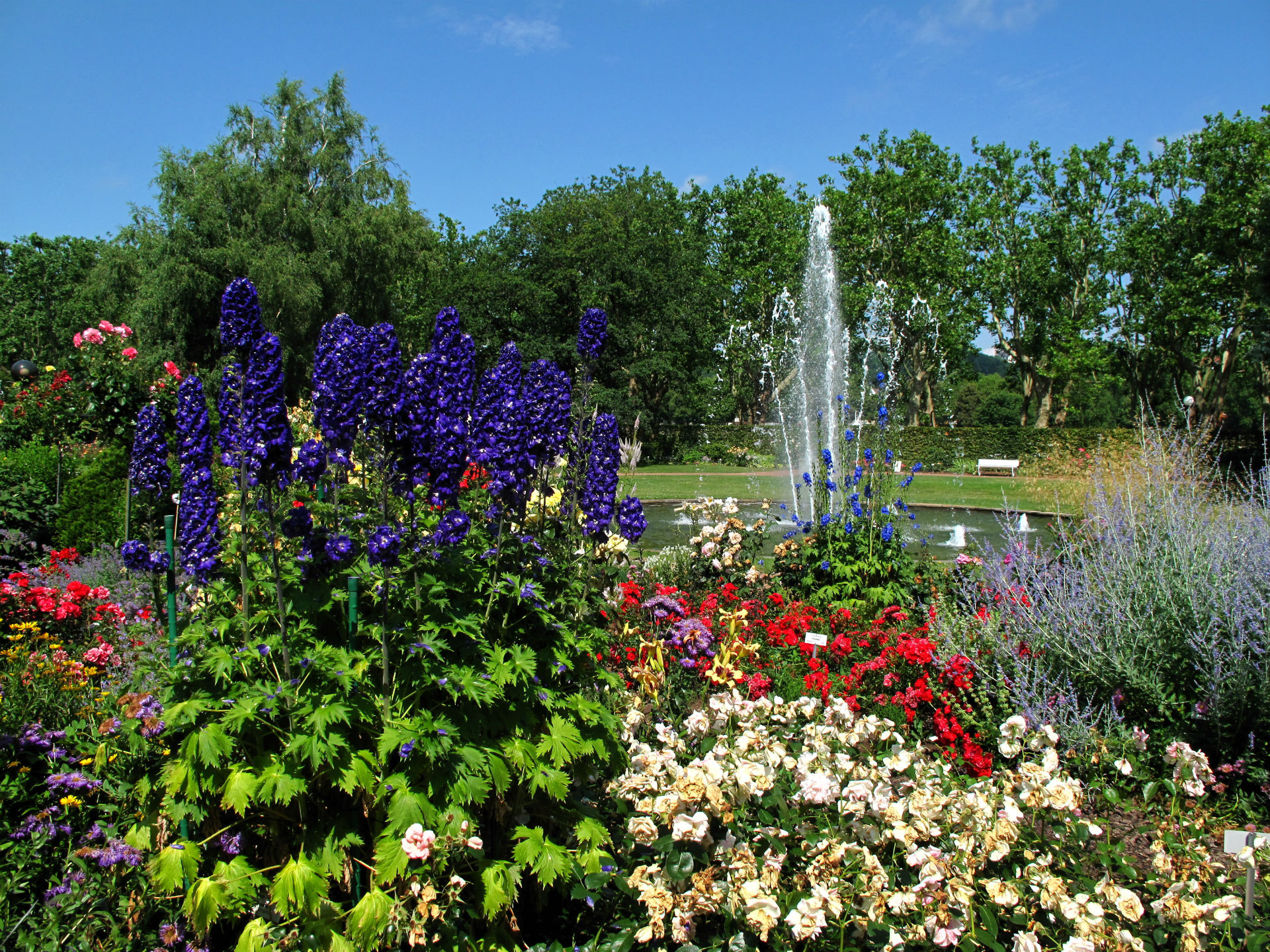 Laden Sie das Park, Fotografie-Bild kostenlos auf Ihren PC-Desktop herunter