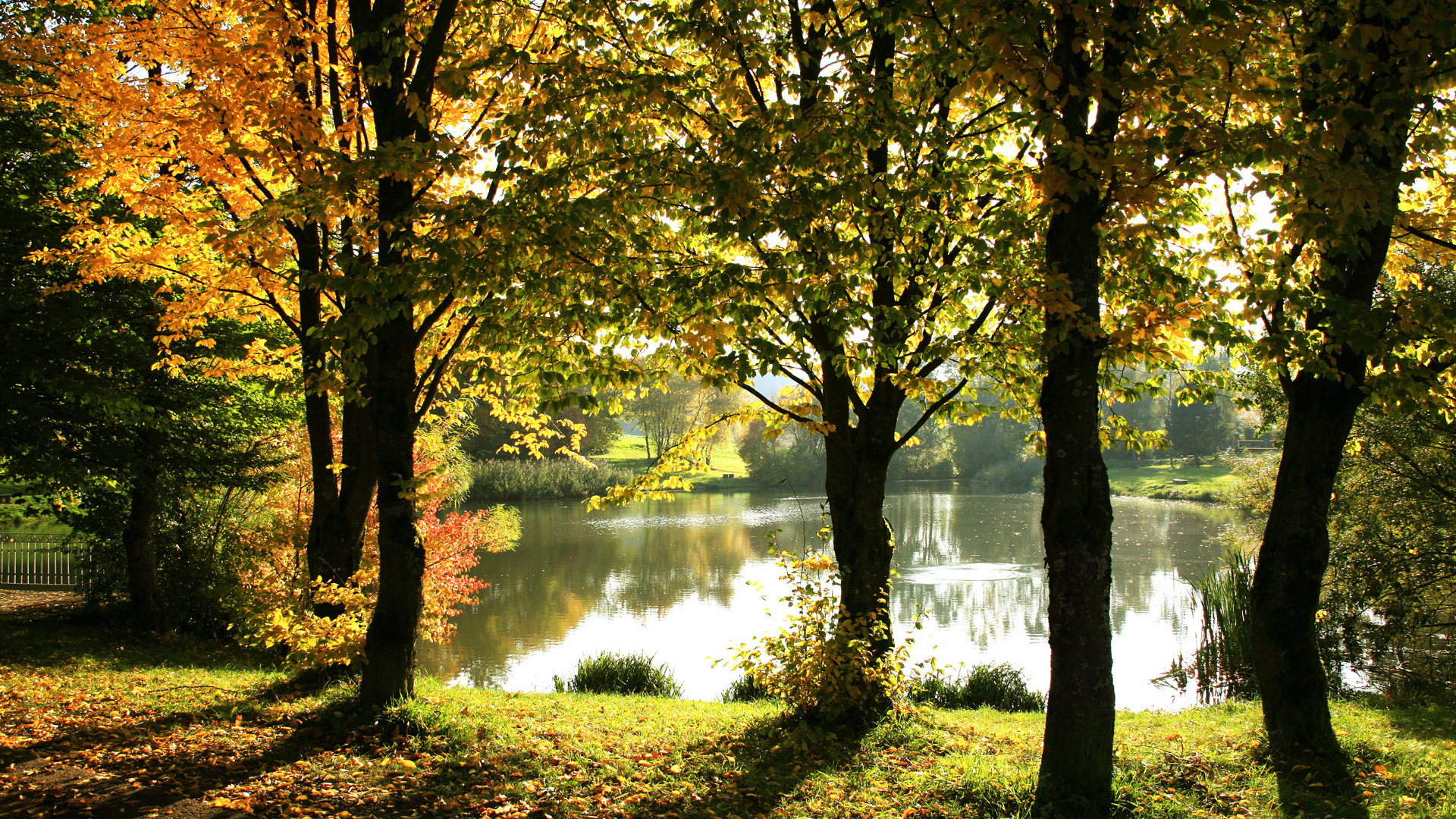 Téléchargez gratuitement l'image Lac, Terre/nature sur le bureau de votre PC