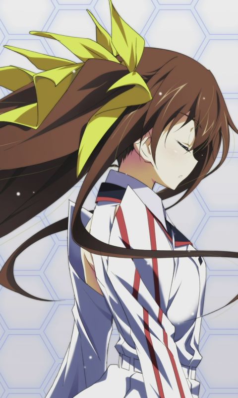 Baixar papel de parede para celular de Anime, Infinite Stratos gratuito.