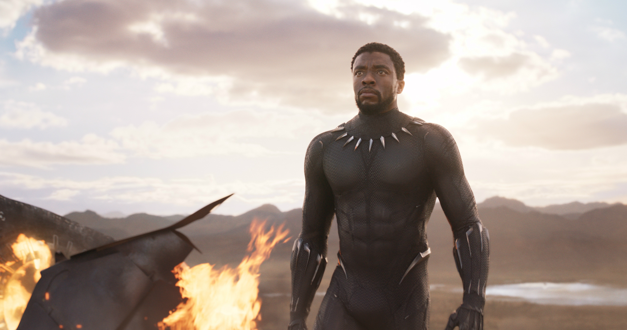 Laden Sie das Filme, Black Panther-Bild kostenlos auf Ihren PC-Desktop herunter