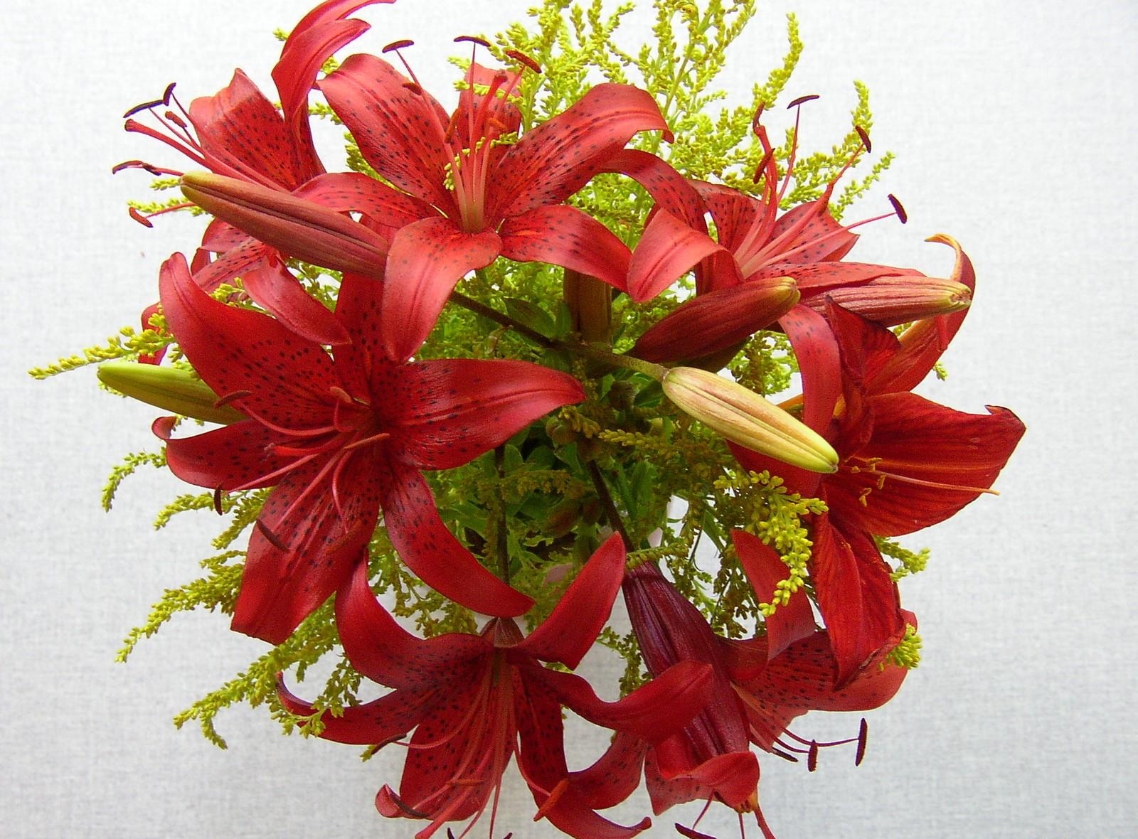 bouquet, flowers, lilies, close up, stamens Full HD