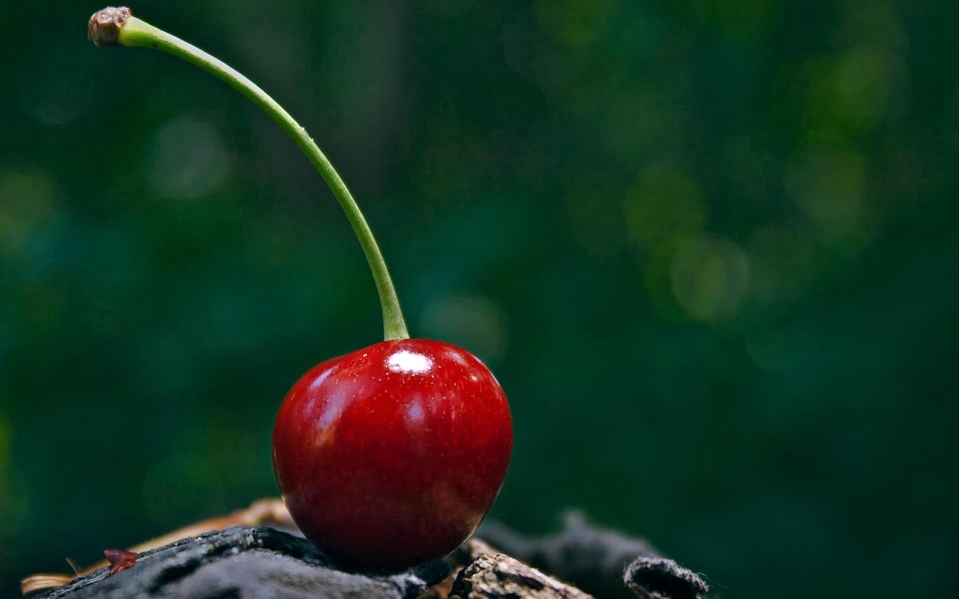 Free download wallpaper Food, Cherry, Glare, Background on your PC desktop