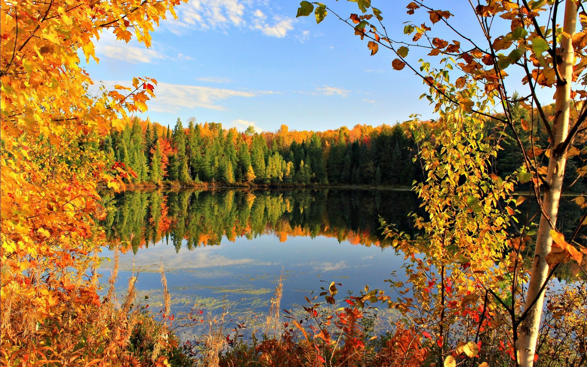 Descarga gratuita de fondo de pantalla para móvil de Otoño, Tierra/naturaleza.