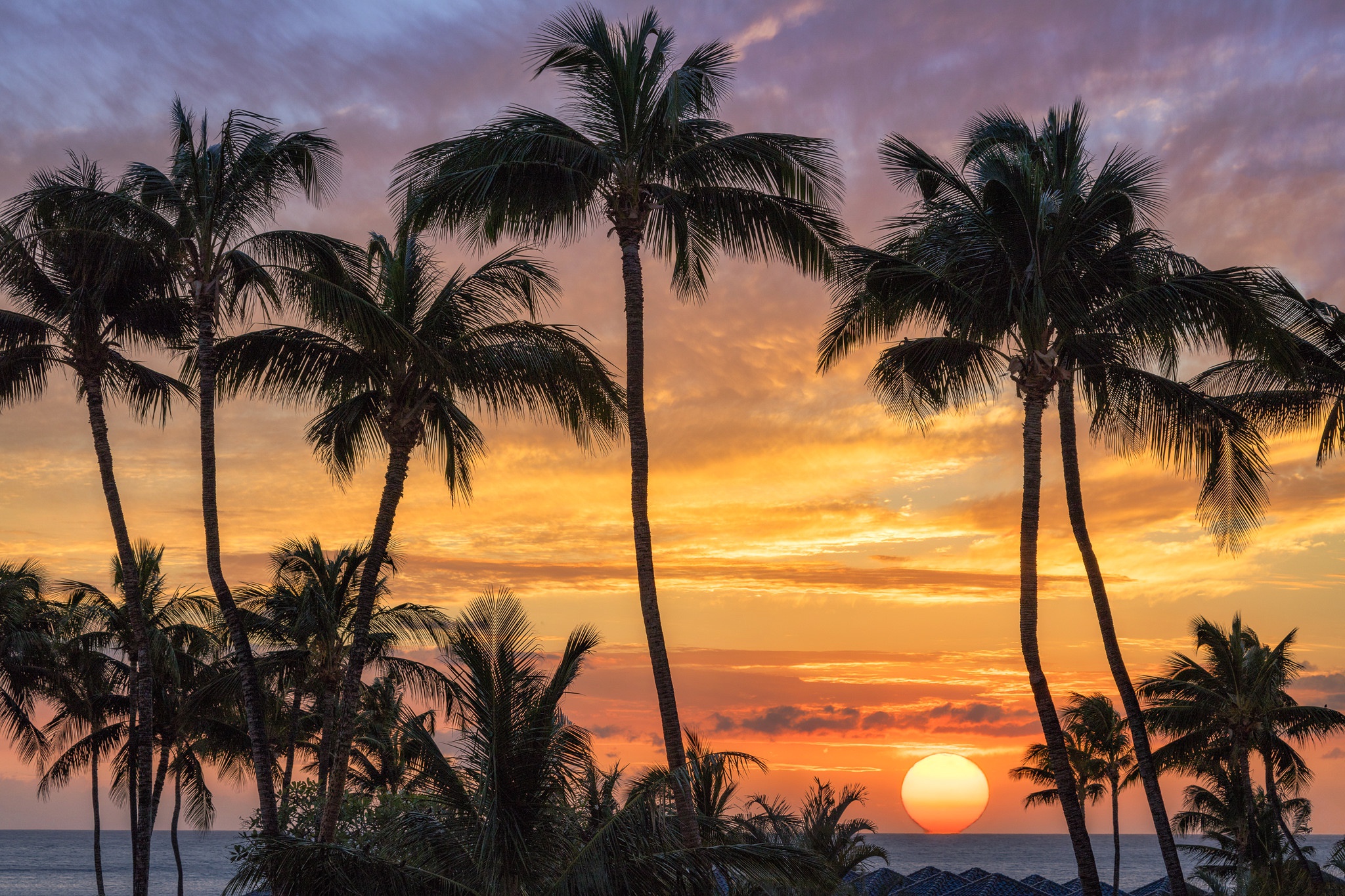 Laden Sie das Natur, Horizont, Ozean, Palme, Tropisch, Himmel, Sonnenuntergang, Sonne, Erde/natur-Bild kostenlos auf Ihren PC-Desktop herunter