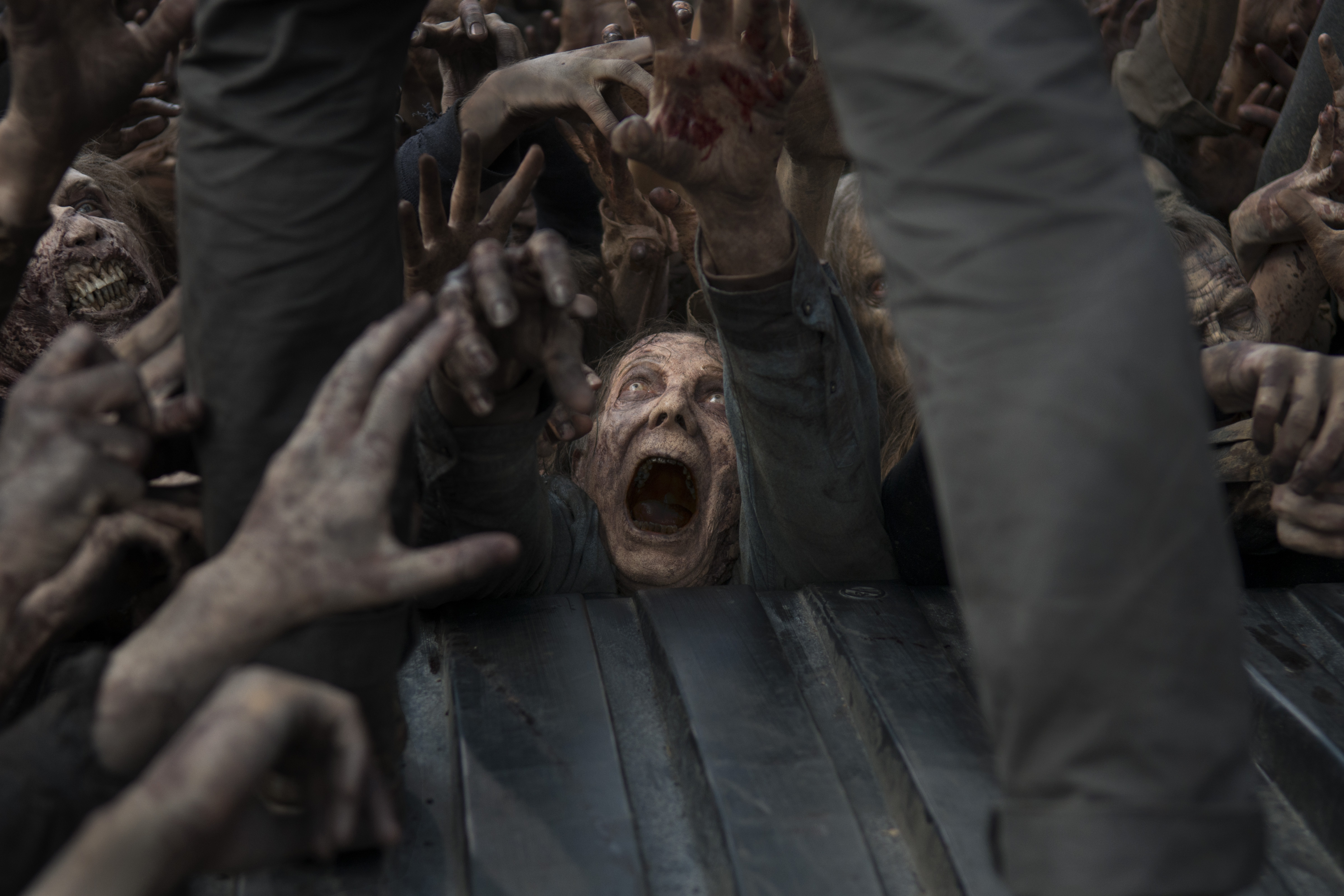 Free download wallpaper Tv Show, The Walking Dead on your PC desktop