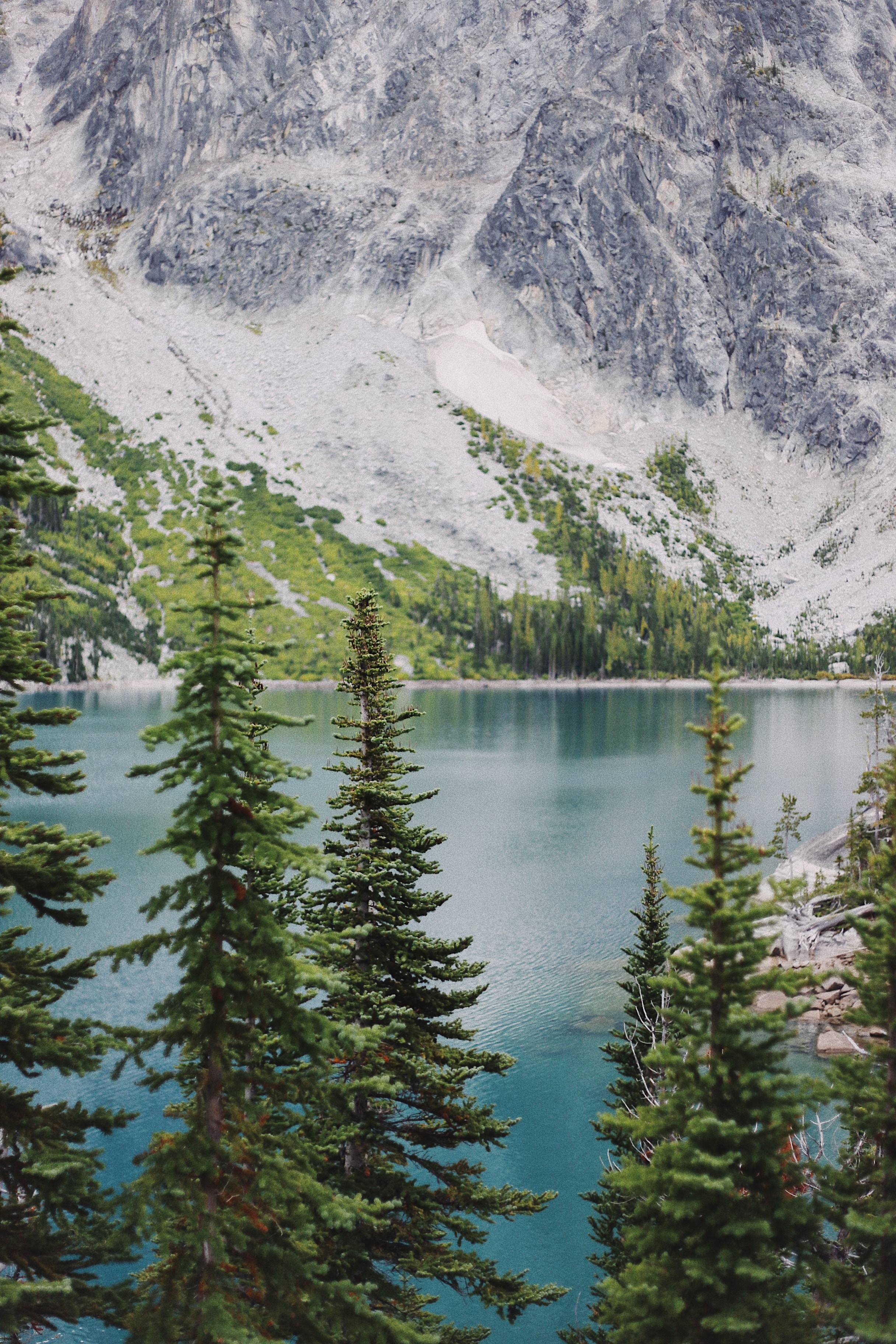 PCデスクトップに自然, 木, 湖, 山, ショア, 銀行, 風景画像を無料でダウンロード