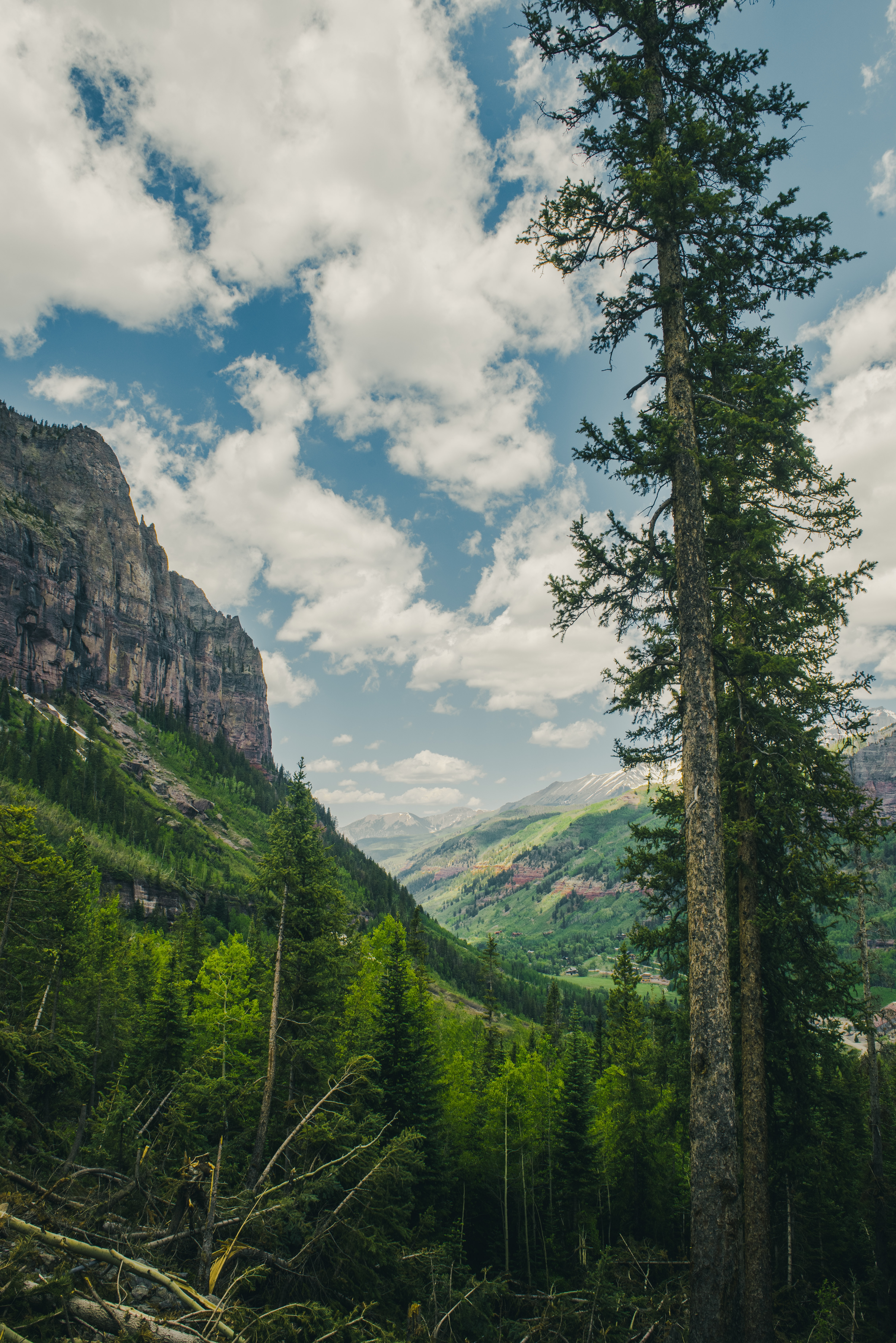 無料モバイル壁紙自然, 岩, 森林, 森, 木, 山脈, 風景をダウンロードします。