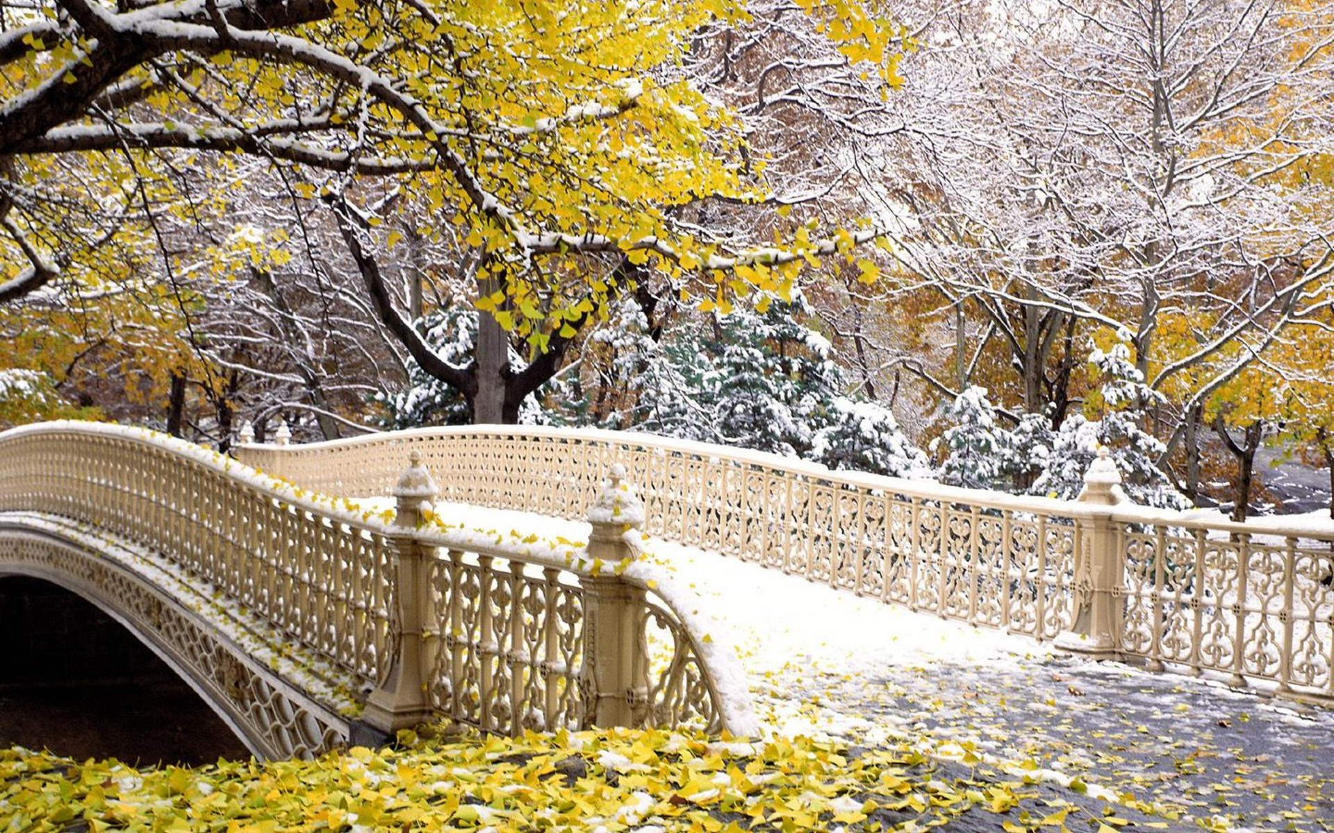 Download mobile wallpaper Snow, Tree, Fall, Bridge, New York, Manhattan, Central Park, Man Made, Bow Bridge for free.