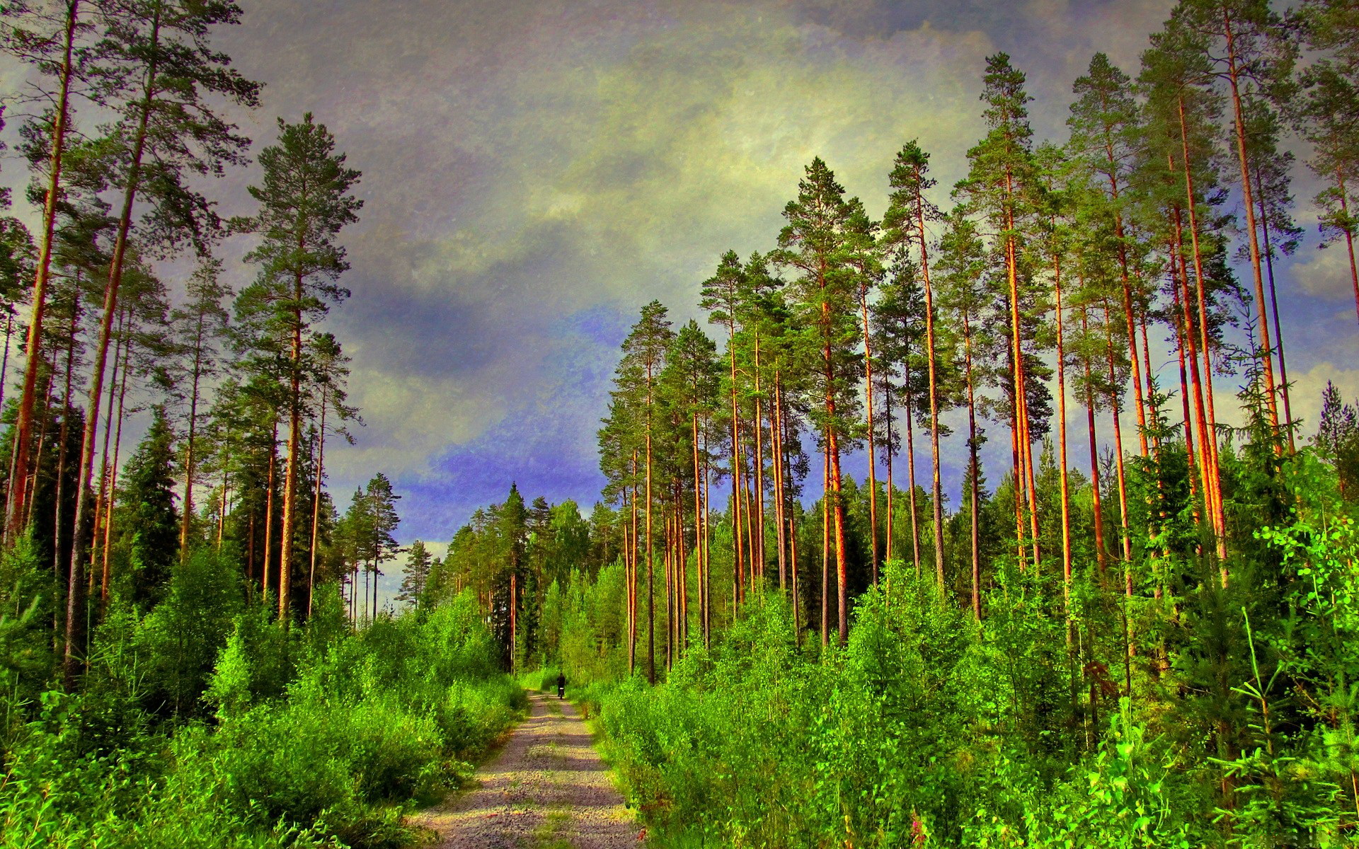 Descarga gratis la imagen Camino, Tierra/naturaleza en el escritorio de tu PC