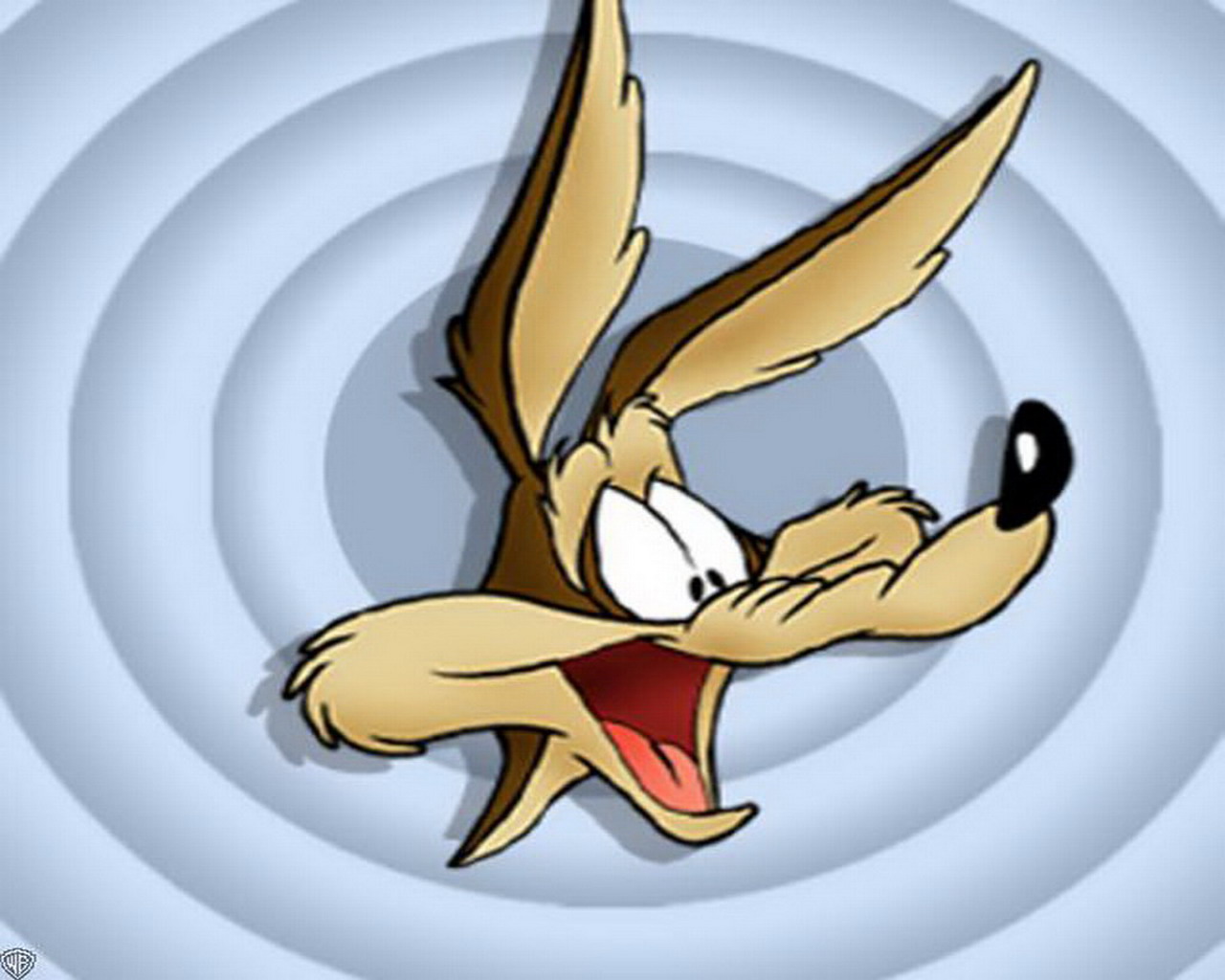 1479726 descargar imagen series de televisión, coyote, looney tunes: fondos de pantalla y protectores de pantalla gratis