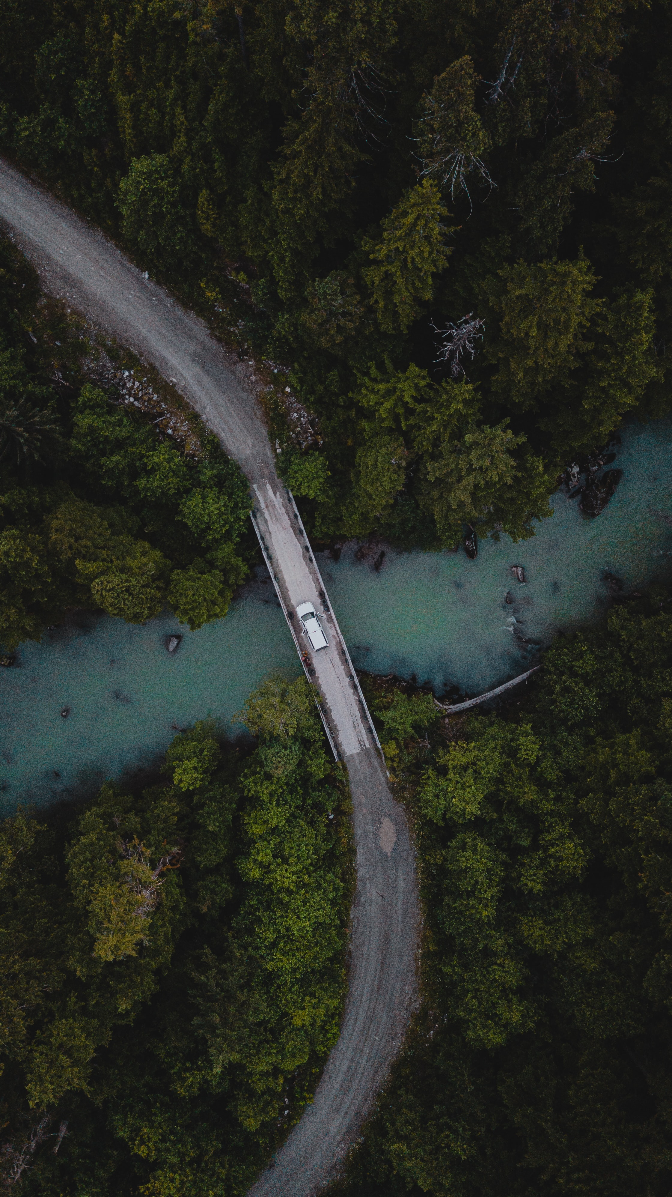 rivers, nature, trees, view from above, forest, car, machine, bridge