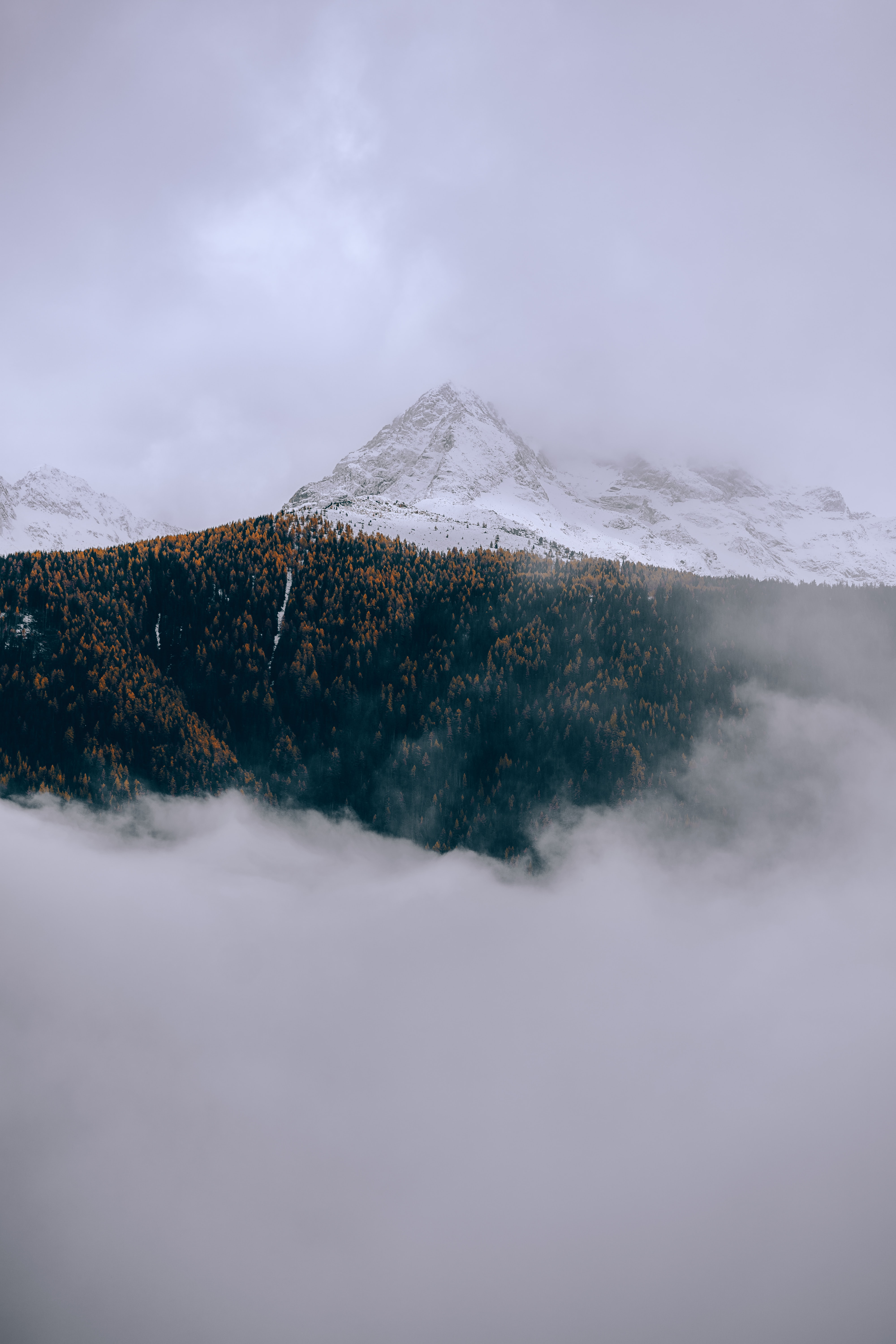 Baixe gratuitamente a imagem Natureza, Árvores, Montanhas, Nuvens na área de trabalho do seu PC