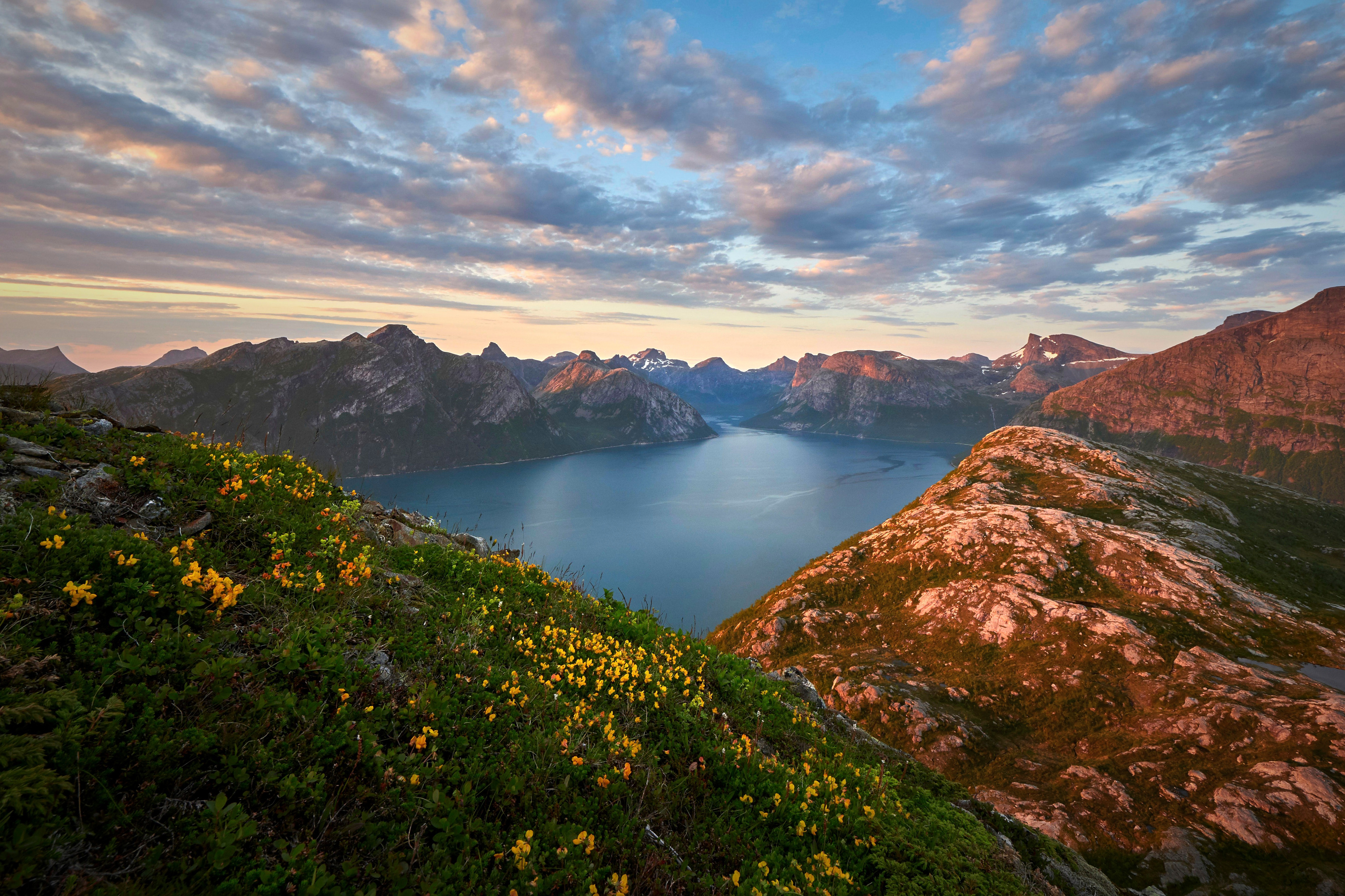 Baixe gratuitamente a imagem Montanhas, Montanha, Flor, Noruega, Nuvem, Terra/natureza na área de trabalho do seu PC