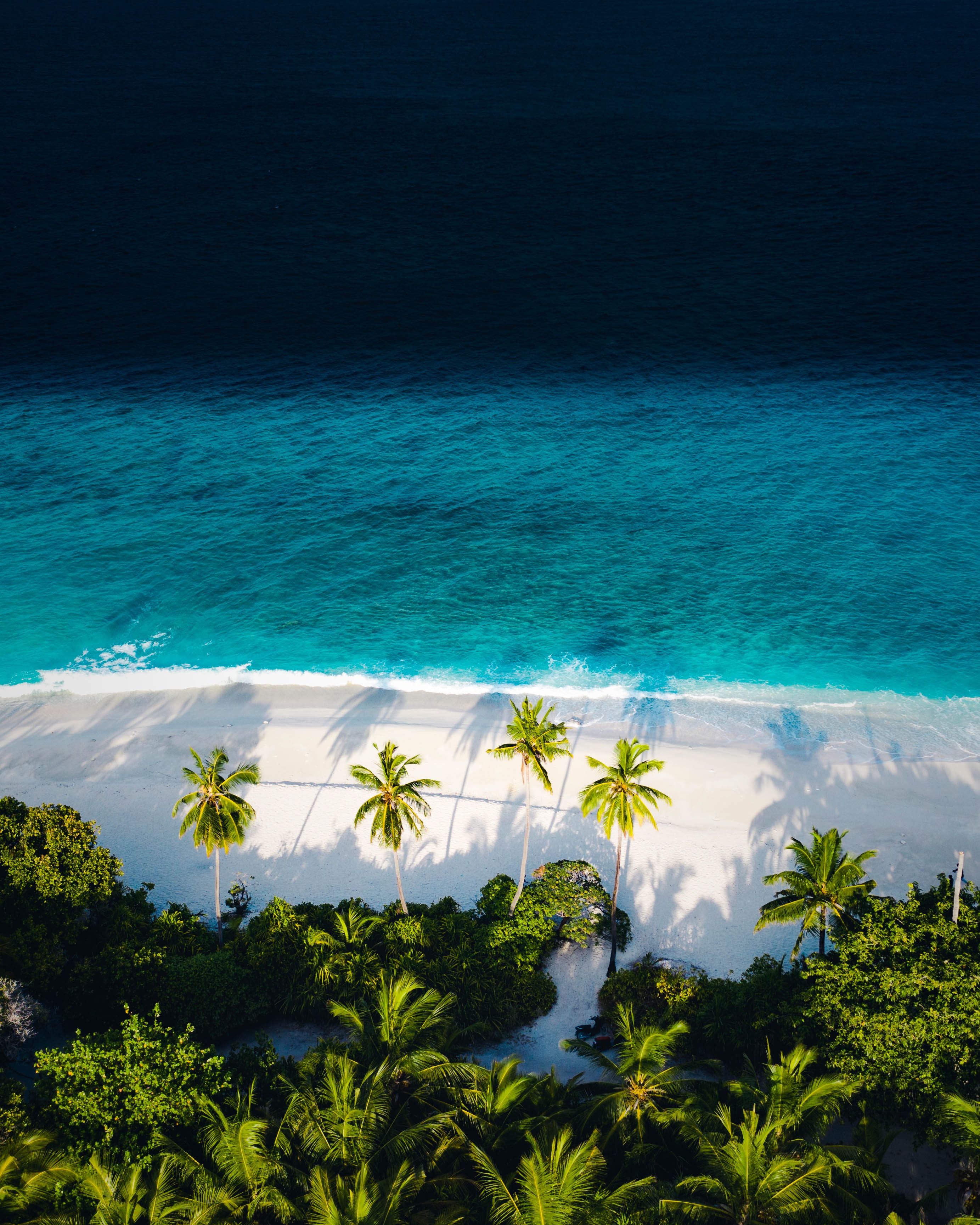 146554 завантажити картинку пляж, природа, море, пальми, вид зверху - шпалери і заставки безкоштовно