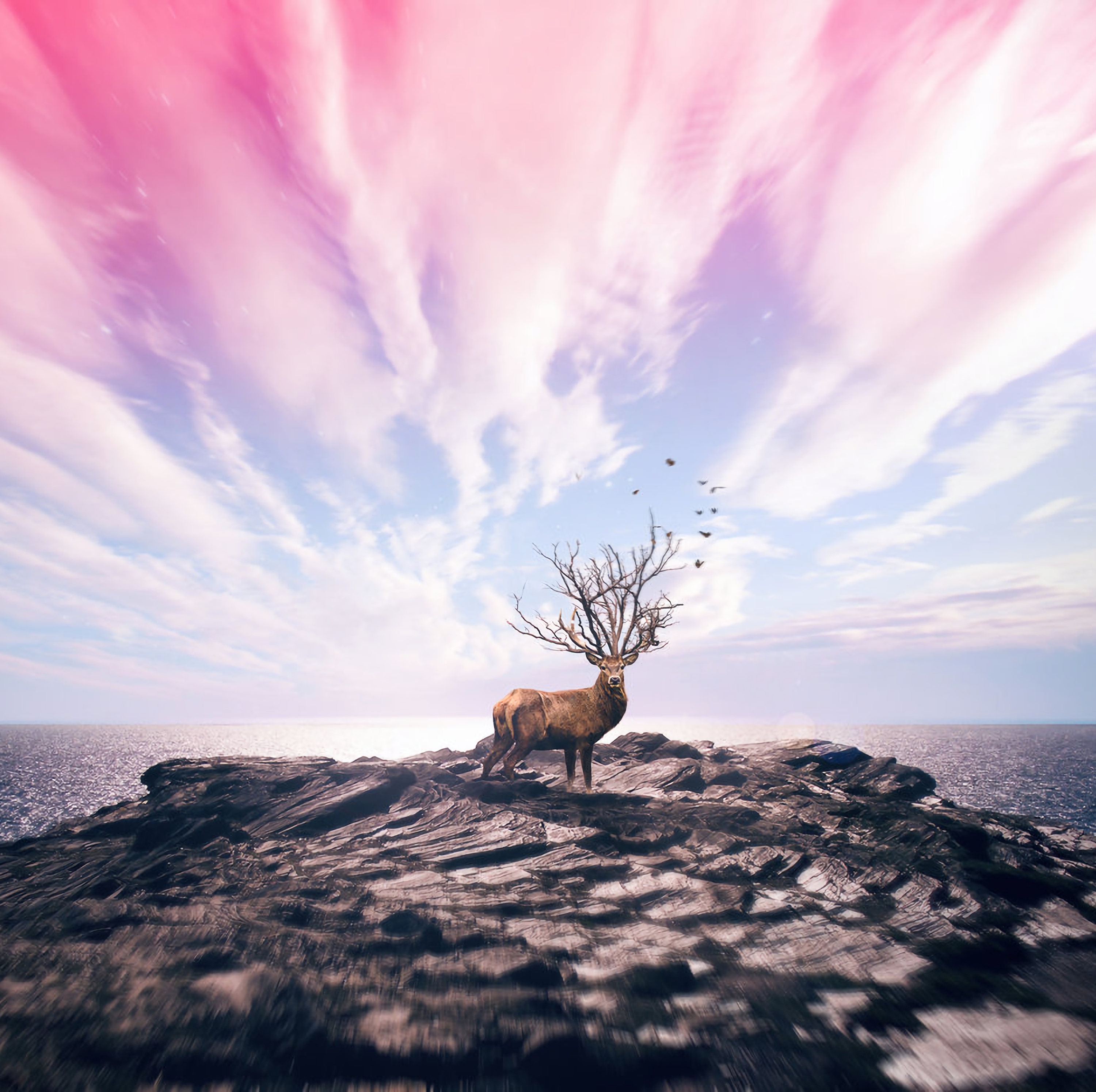 deer, sky, photoshop, art, sea, shore, bank HD for desktop 1080p