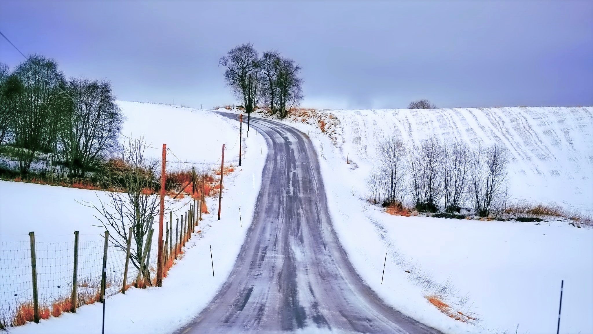 Laden Sie das Winter, Schnee, Straße, Baum, Menschengemacht-Bild kostenlos auf Ihren PC-Desktop herunter