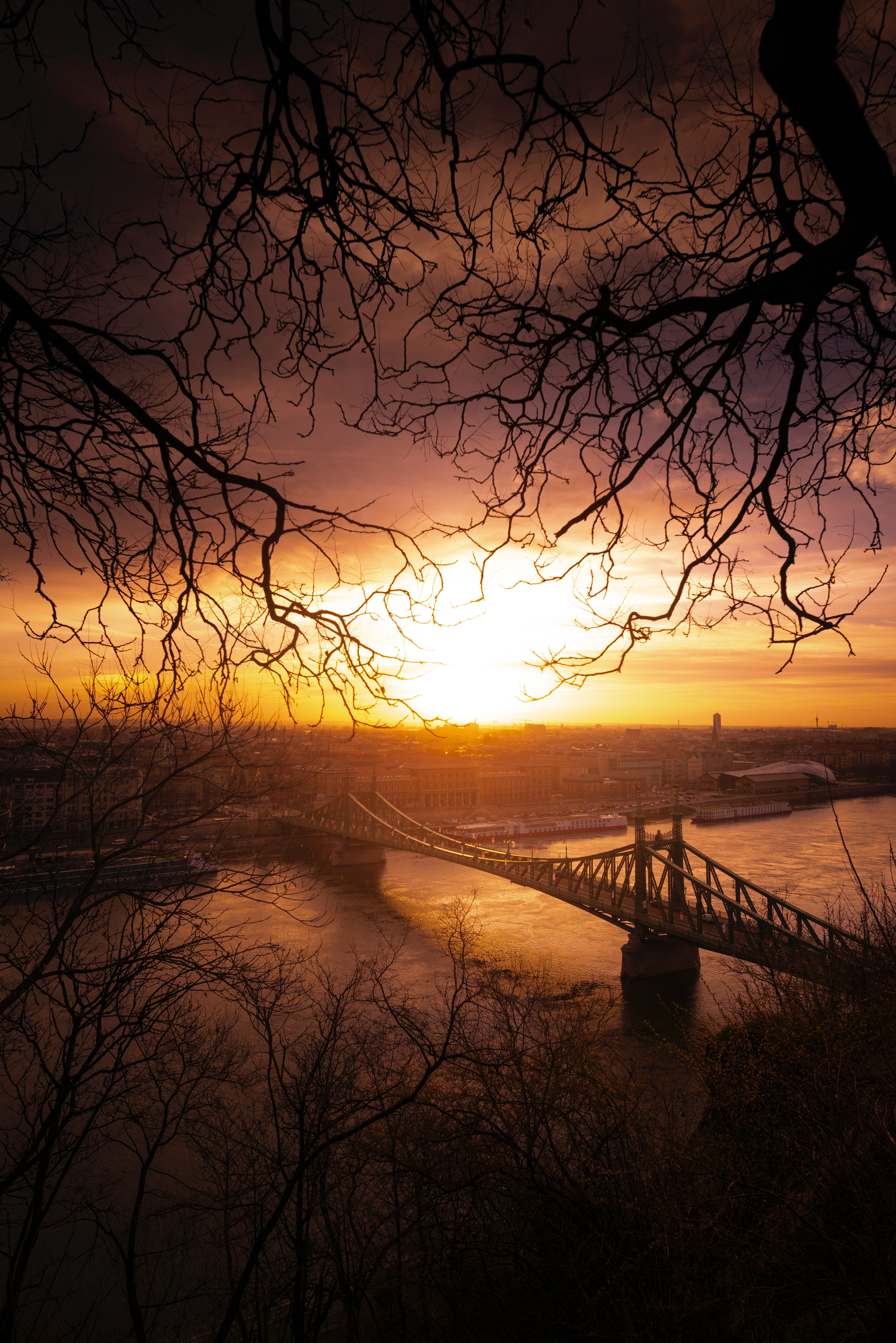 Free download wallpaper Cities, Sunset, Branches, Branch, Bridge, City on your PC desktop