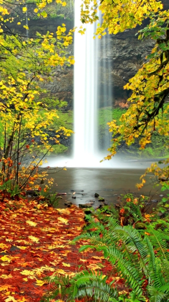 Download mobile wallpaper Nature, Waterfalls, Waterfall, Leaf, Fall, Earth, Stream, River, Season, Scenic for free.