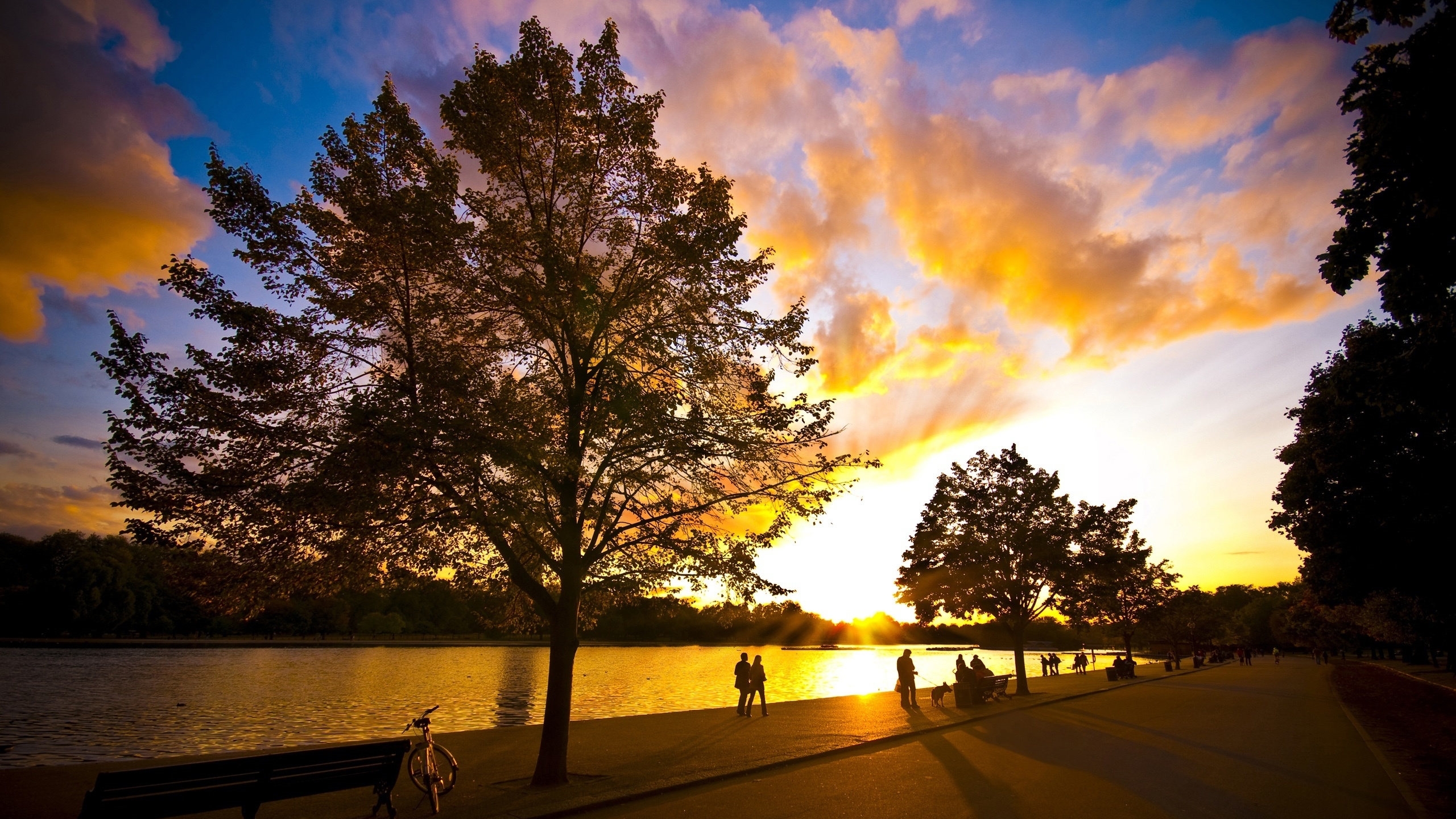 Free download wallpaper People, Sunset, Lake, Park, Tree, Photography, Place on your PC desktop